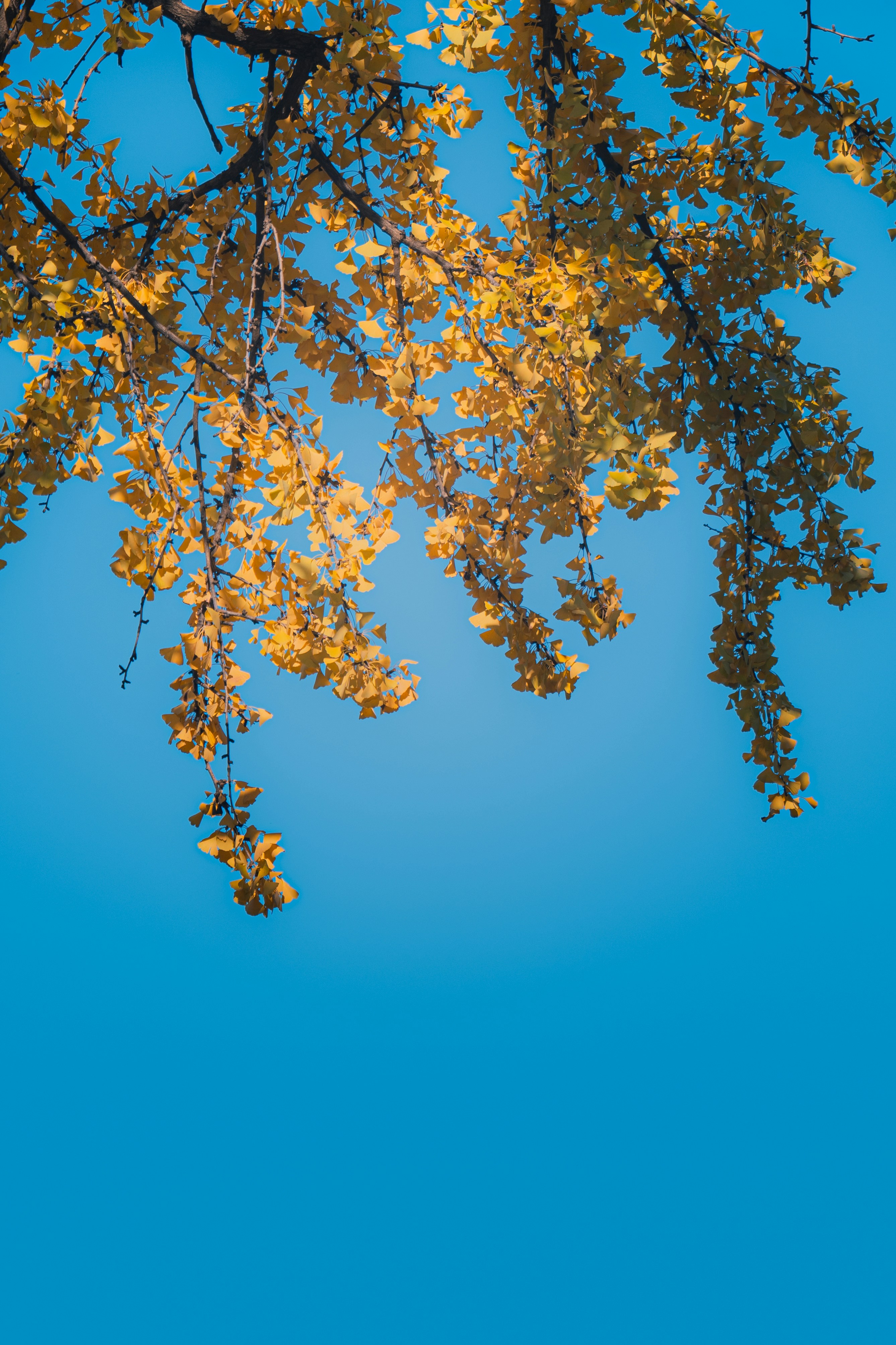 Photo by aasing_gwok