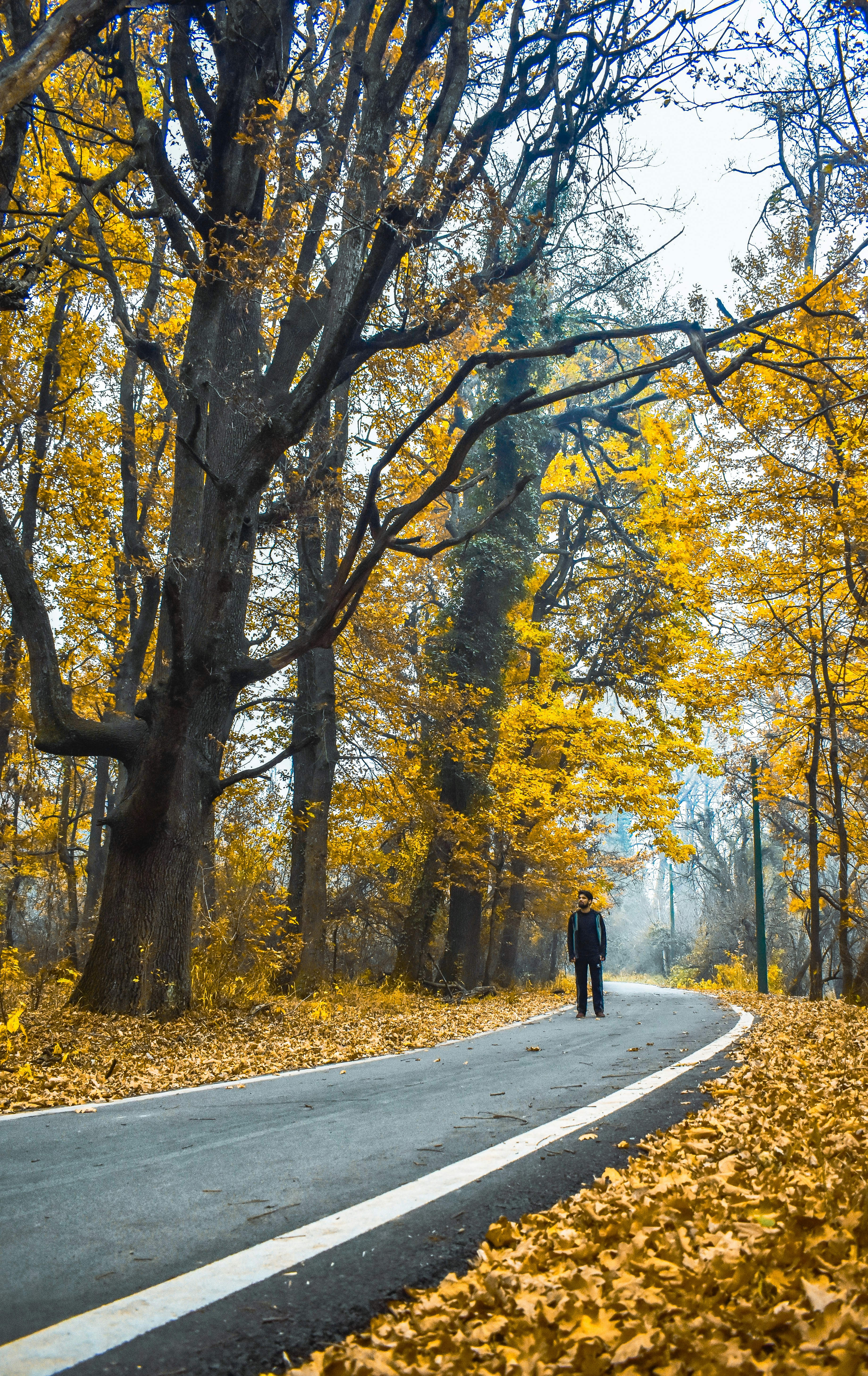 Photo by wanderwithhidayat