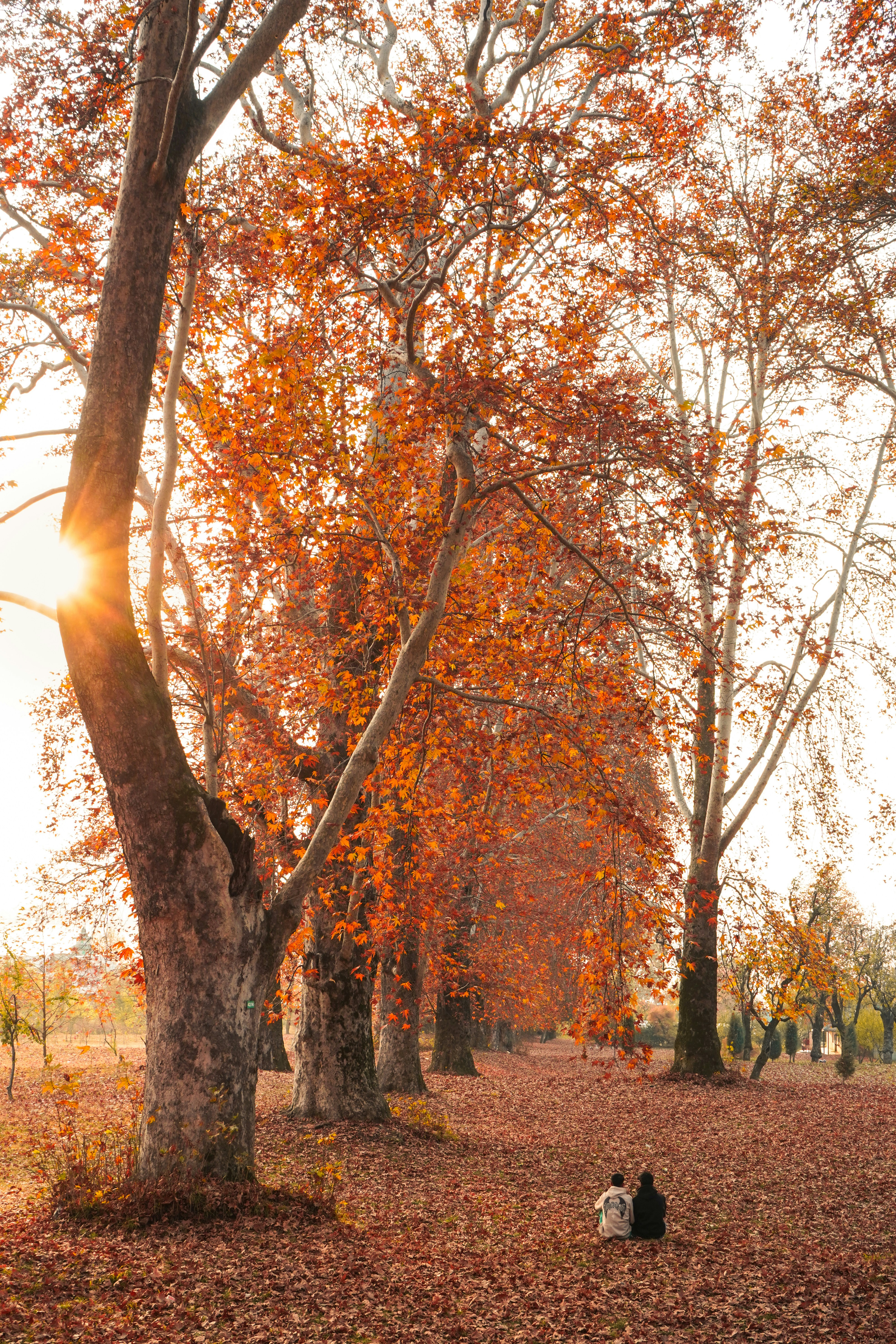 Photo by wanderwithhidayat