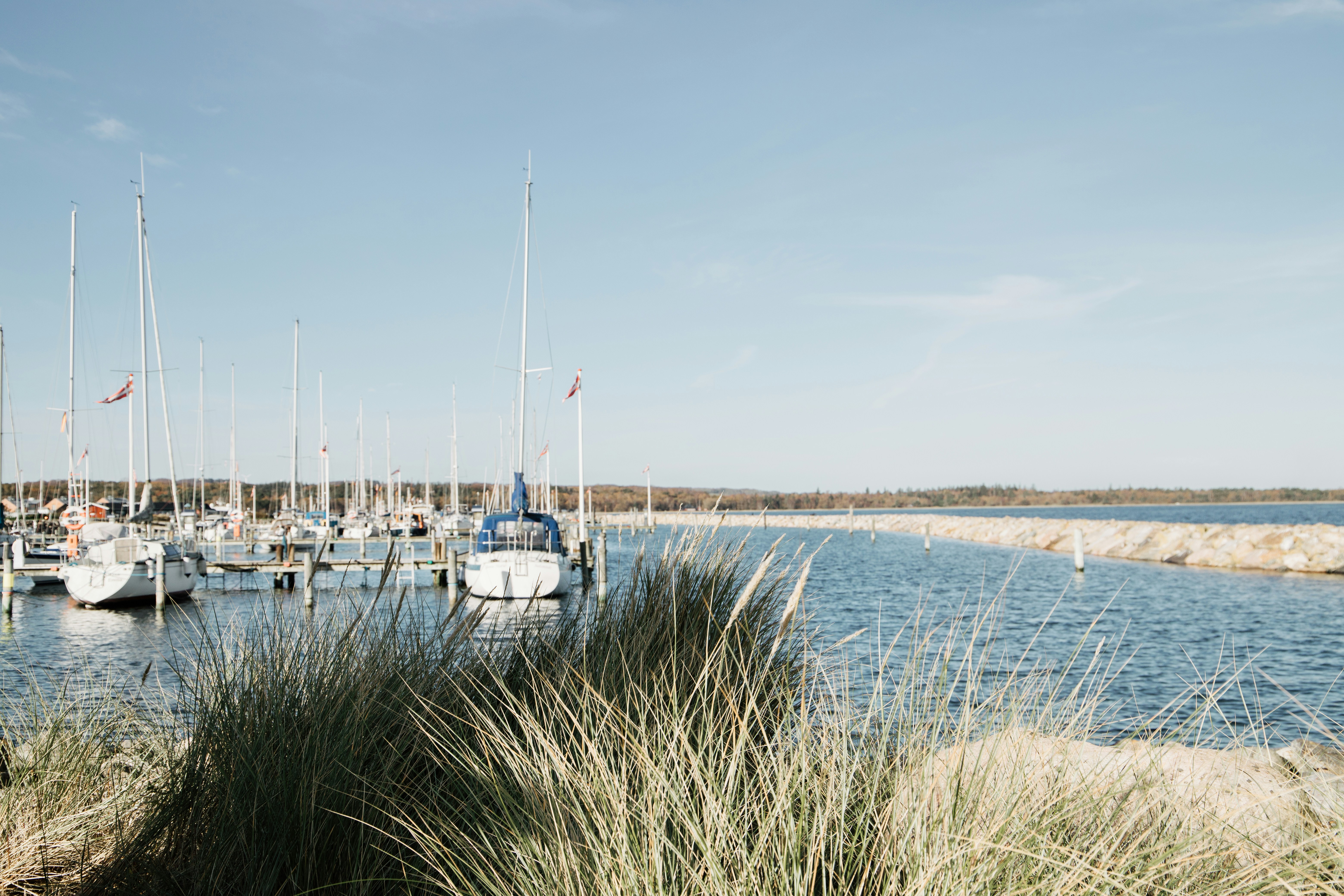 Photo by katharina_bill