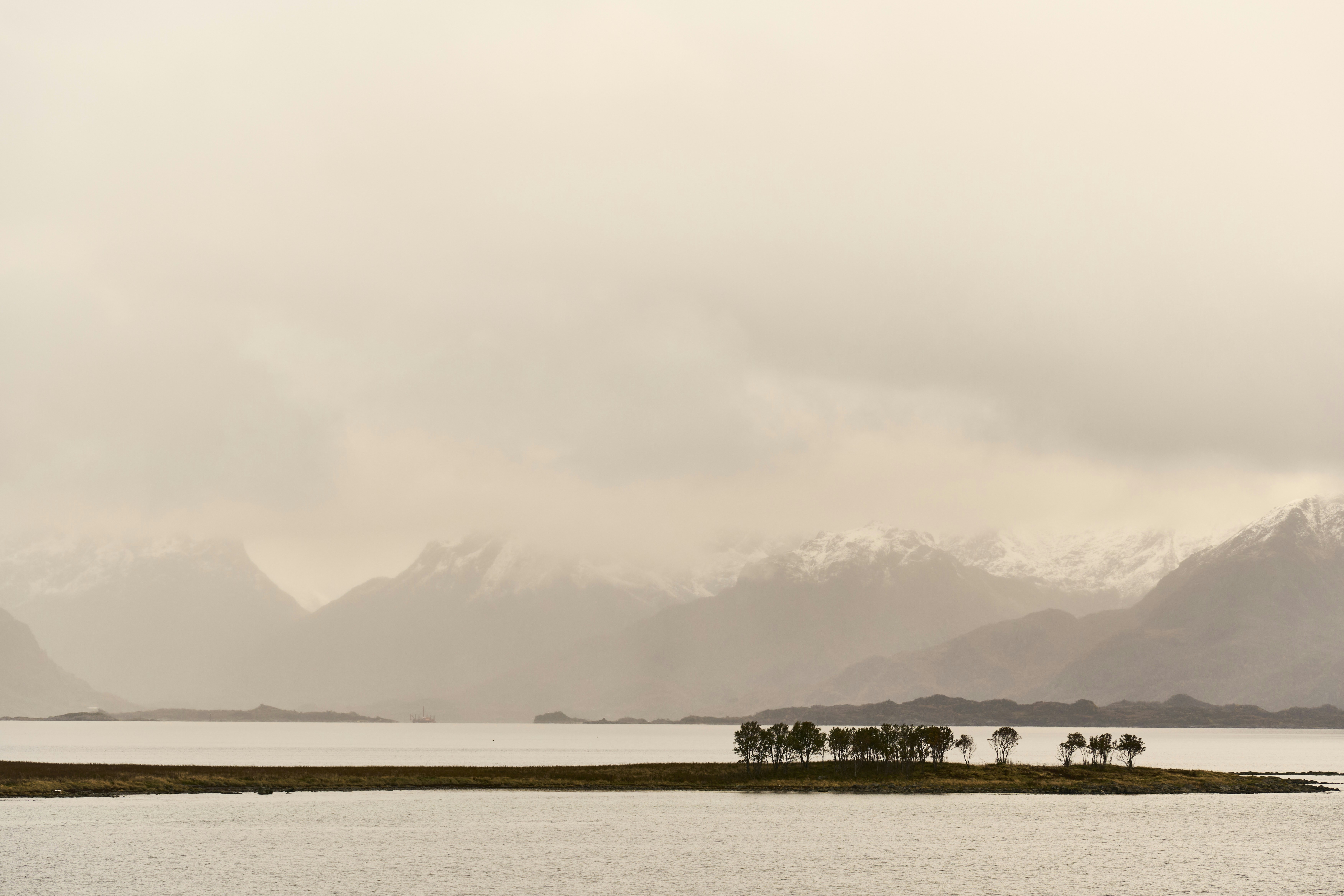 Photo by wolfgang_hasselmann