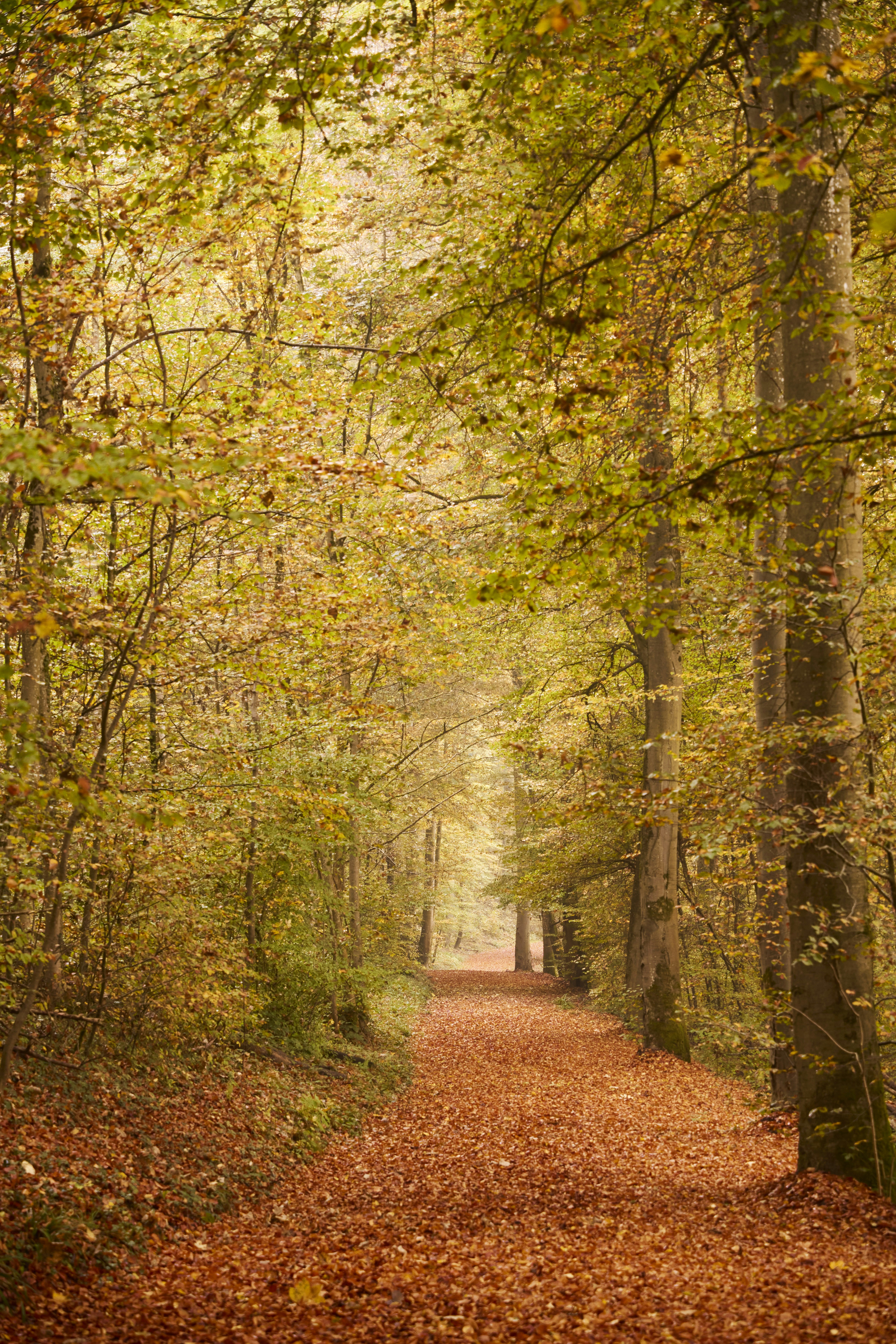 Photo by wolfgang_hasselmann