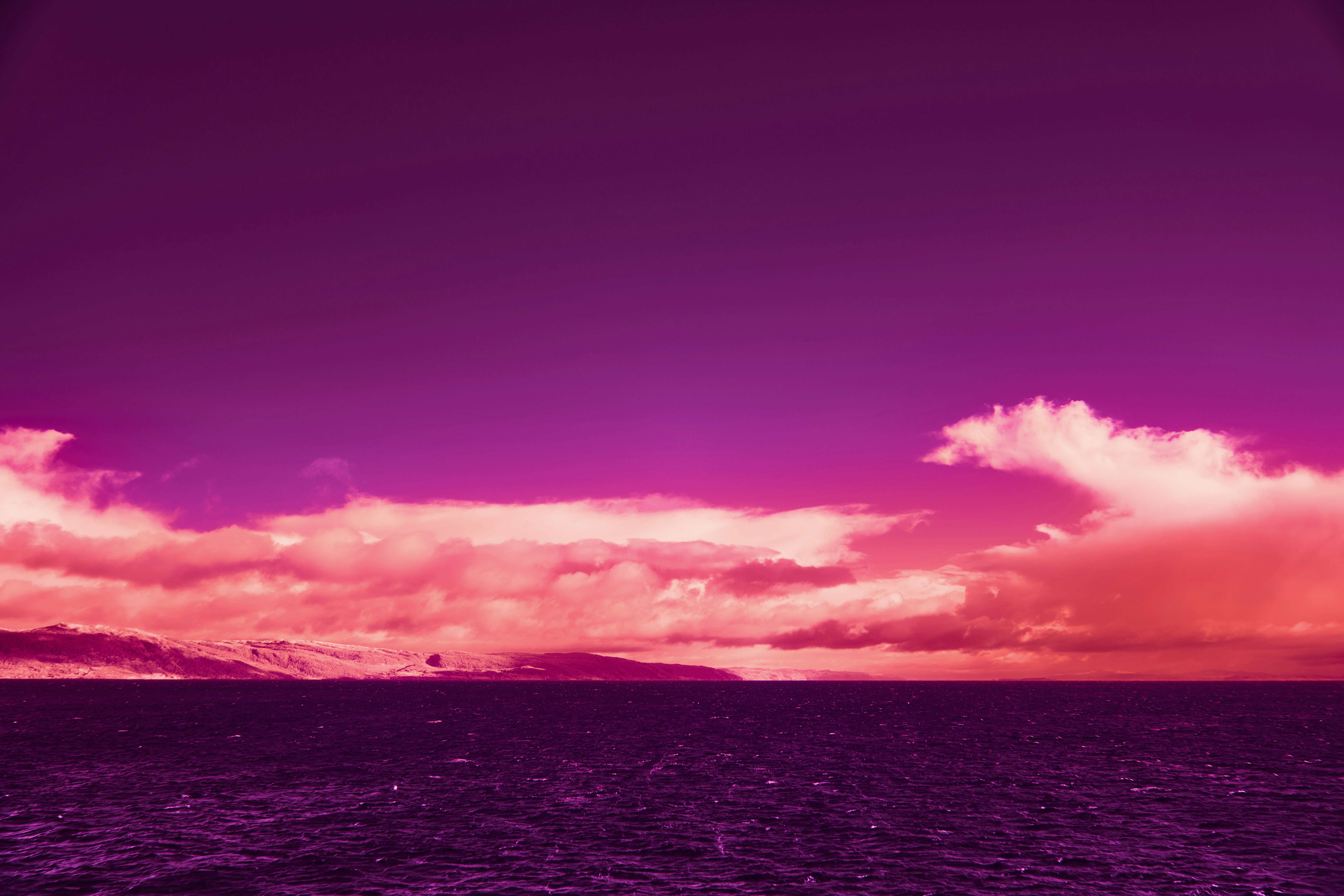 Photo by wolfgang_hasselmann