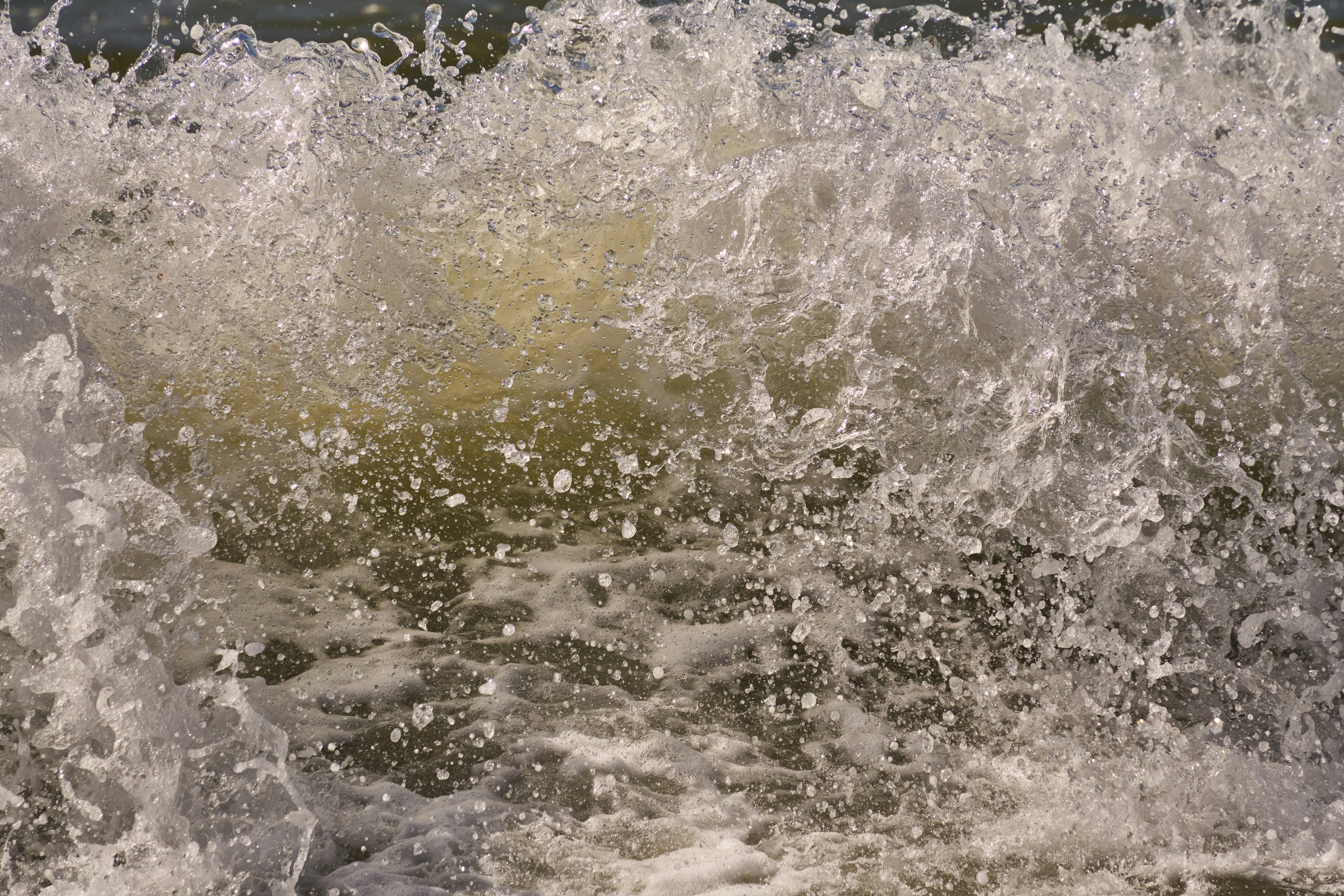 Photo by wolfgang_hasselmann