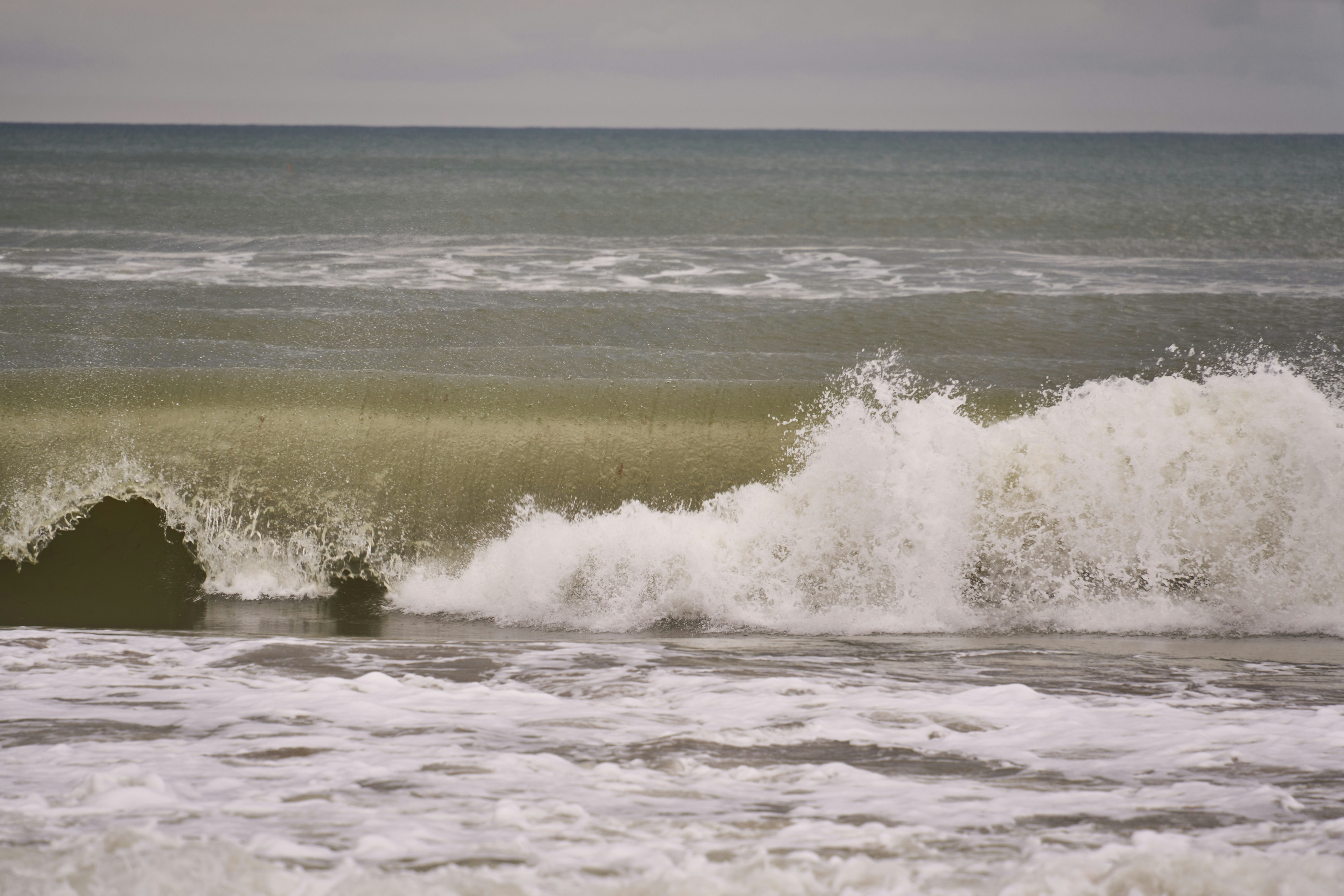 Photo by wolfgang_hasselmann