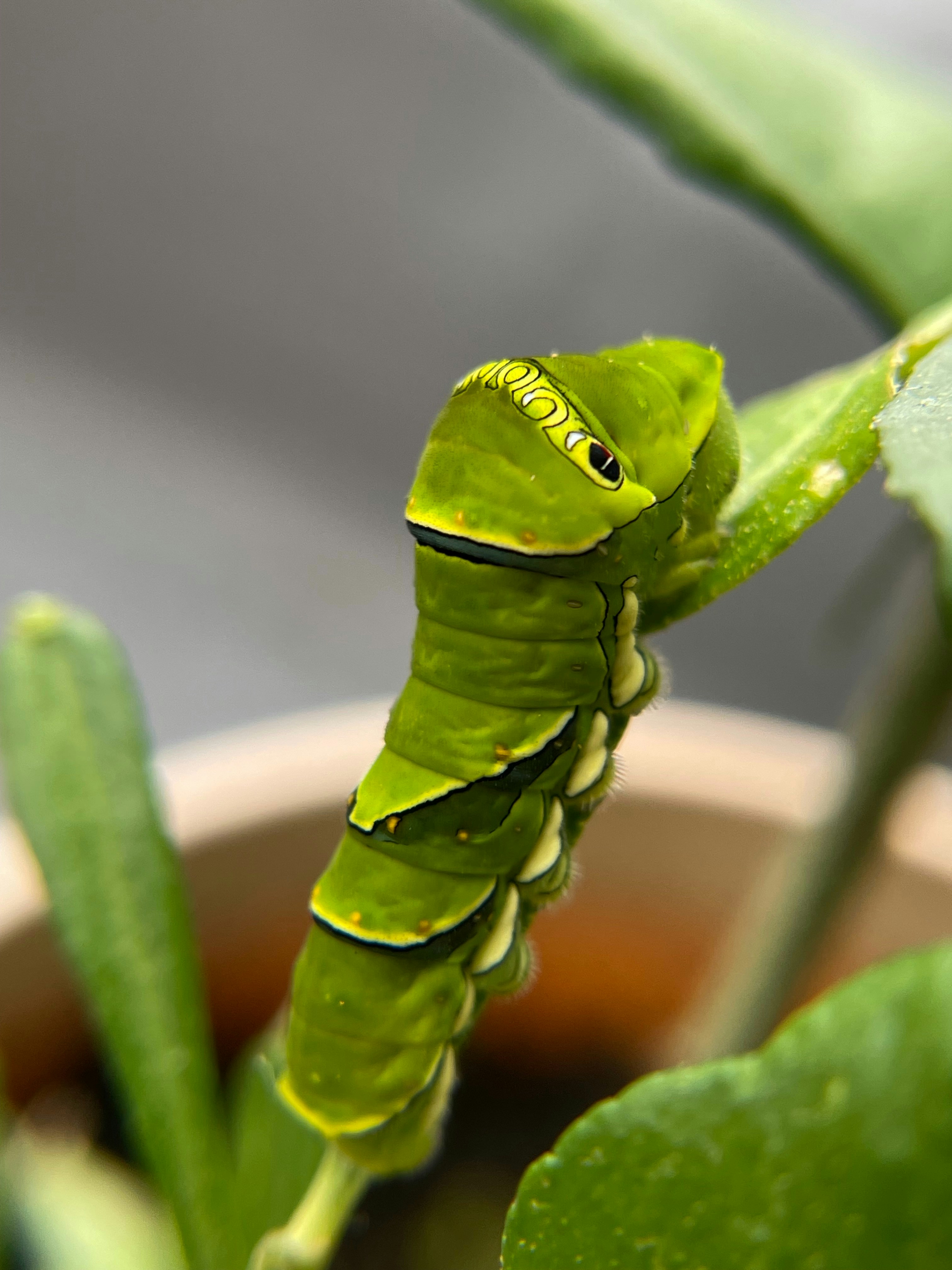 Photo by blueskywalker