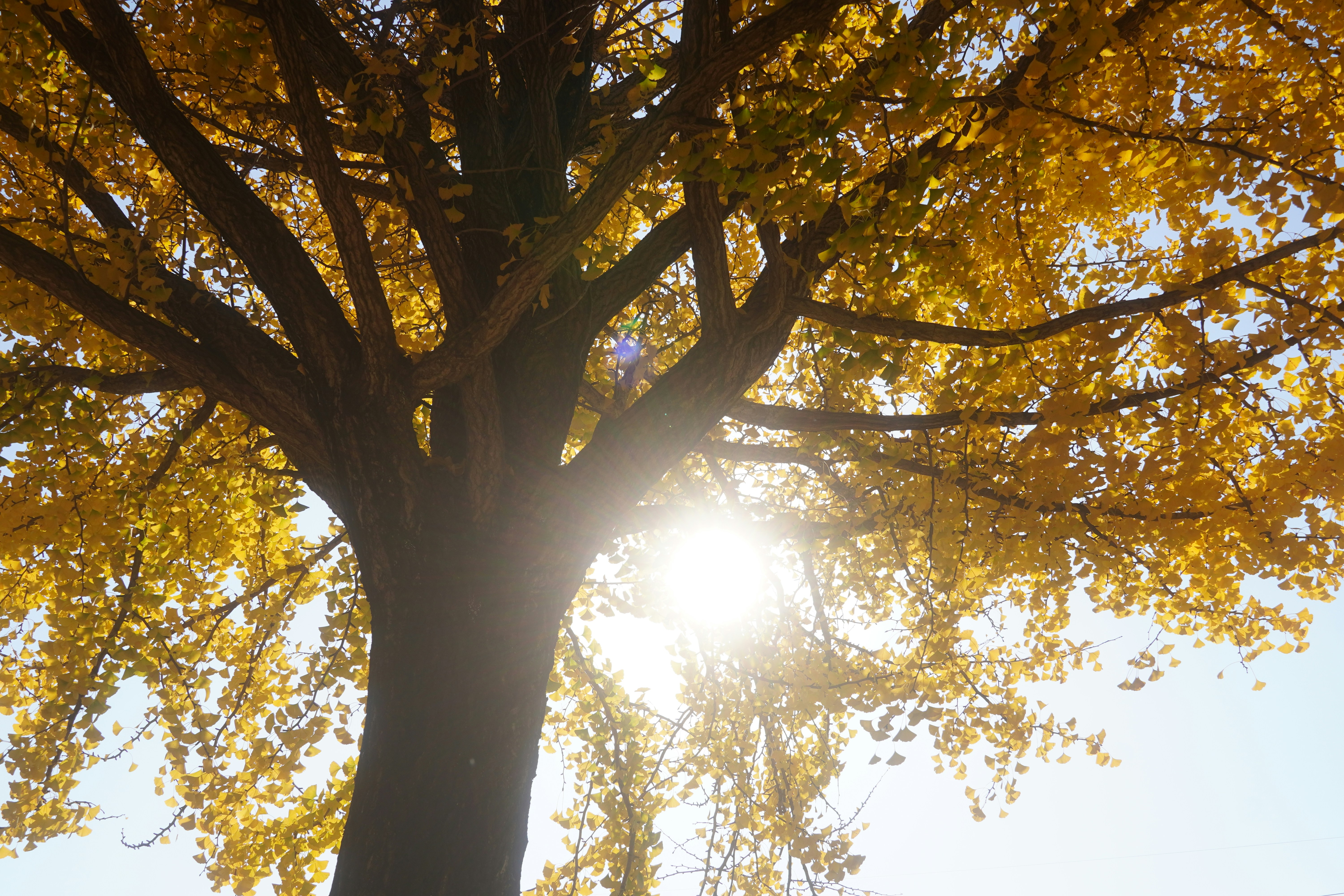 Photo by lifeinkorea