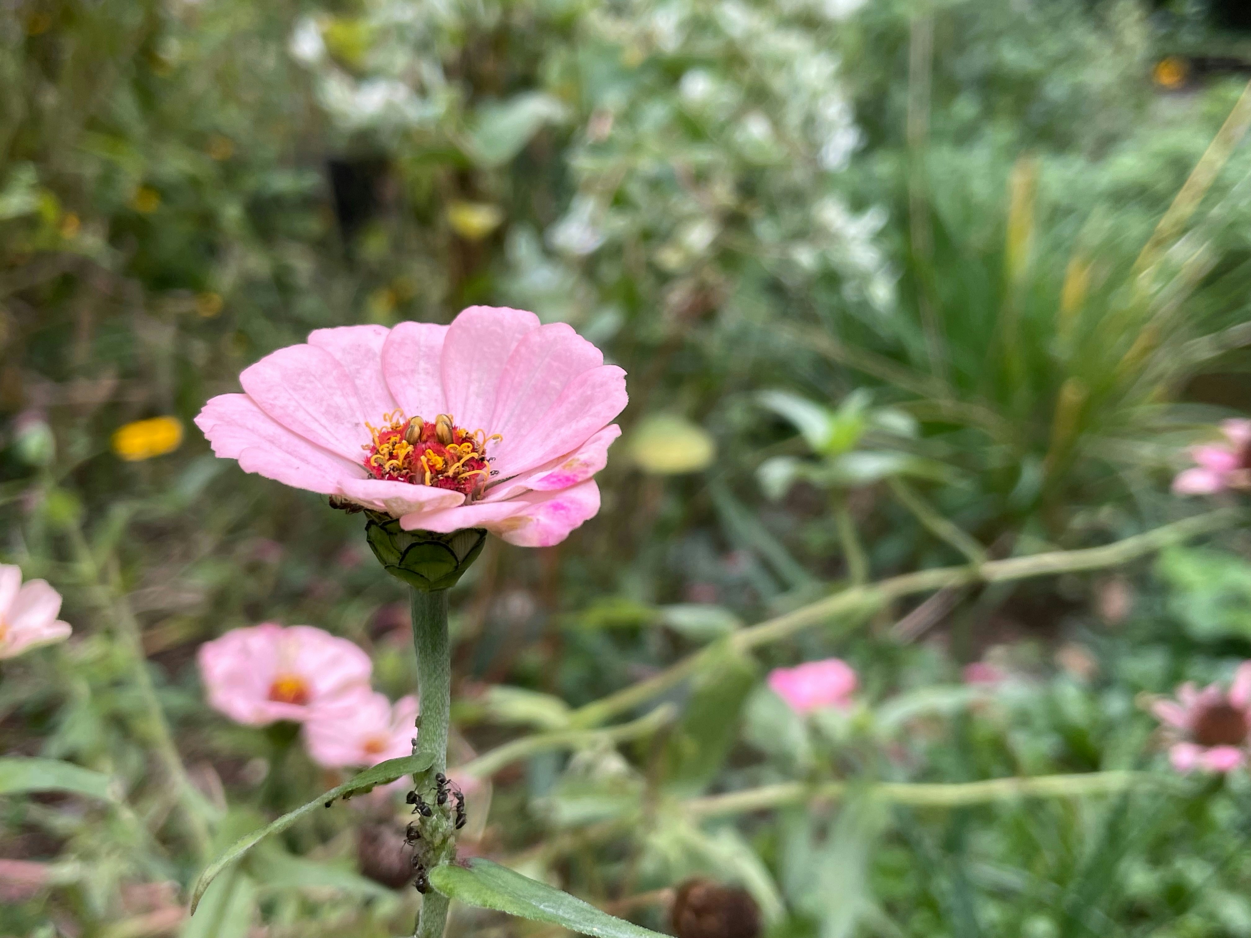 Photo by blueskywalker