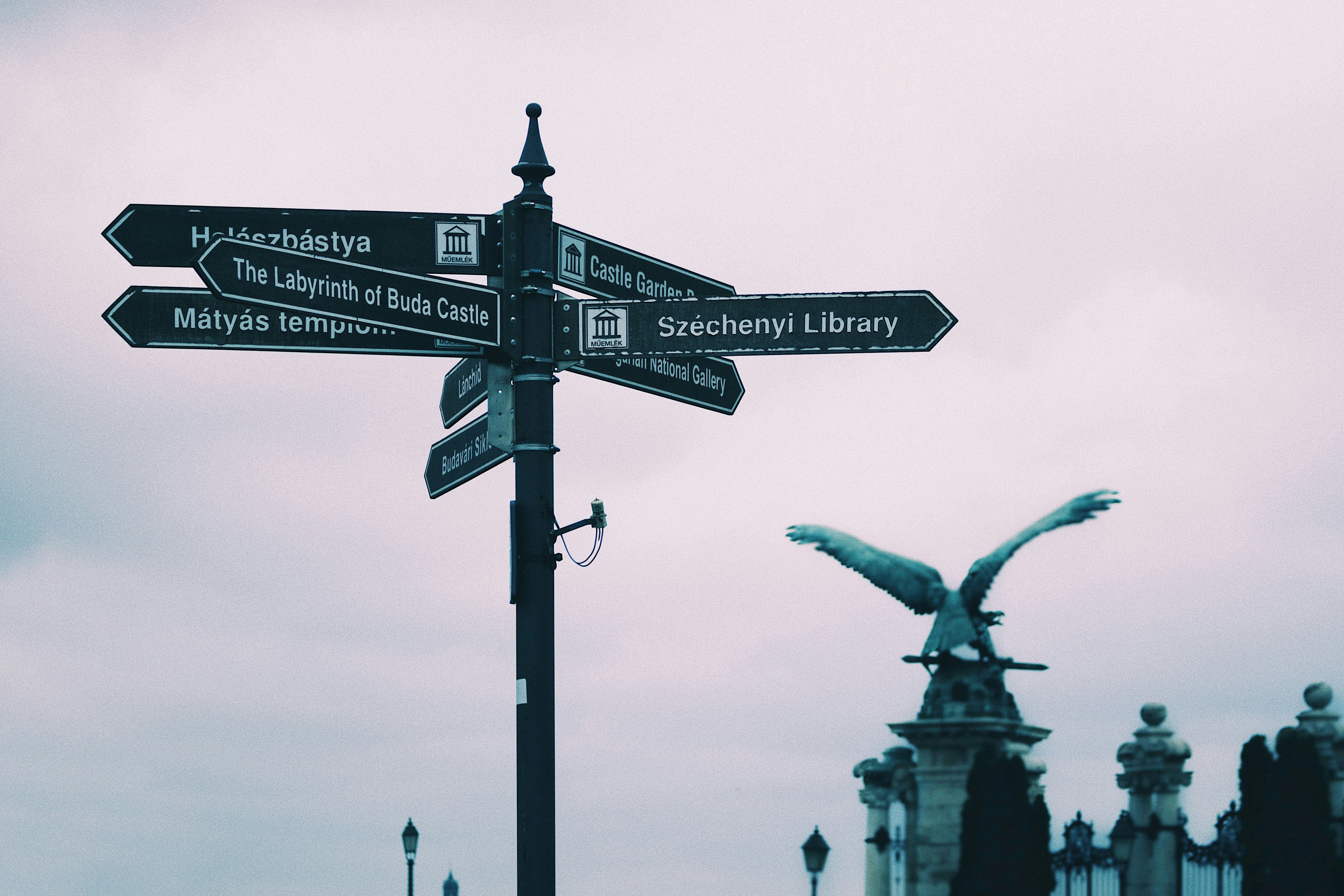 A street sign with a bird sitting on top of it