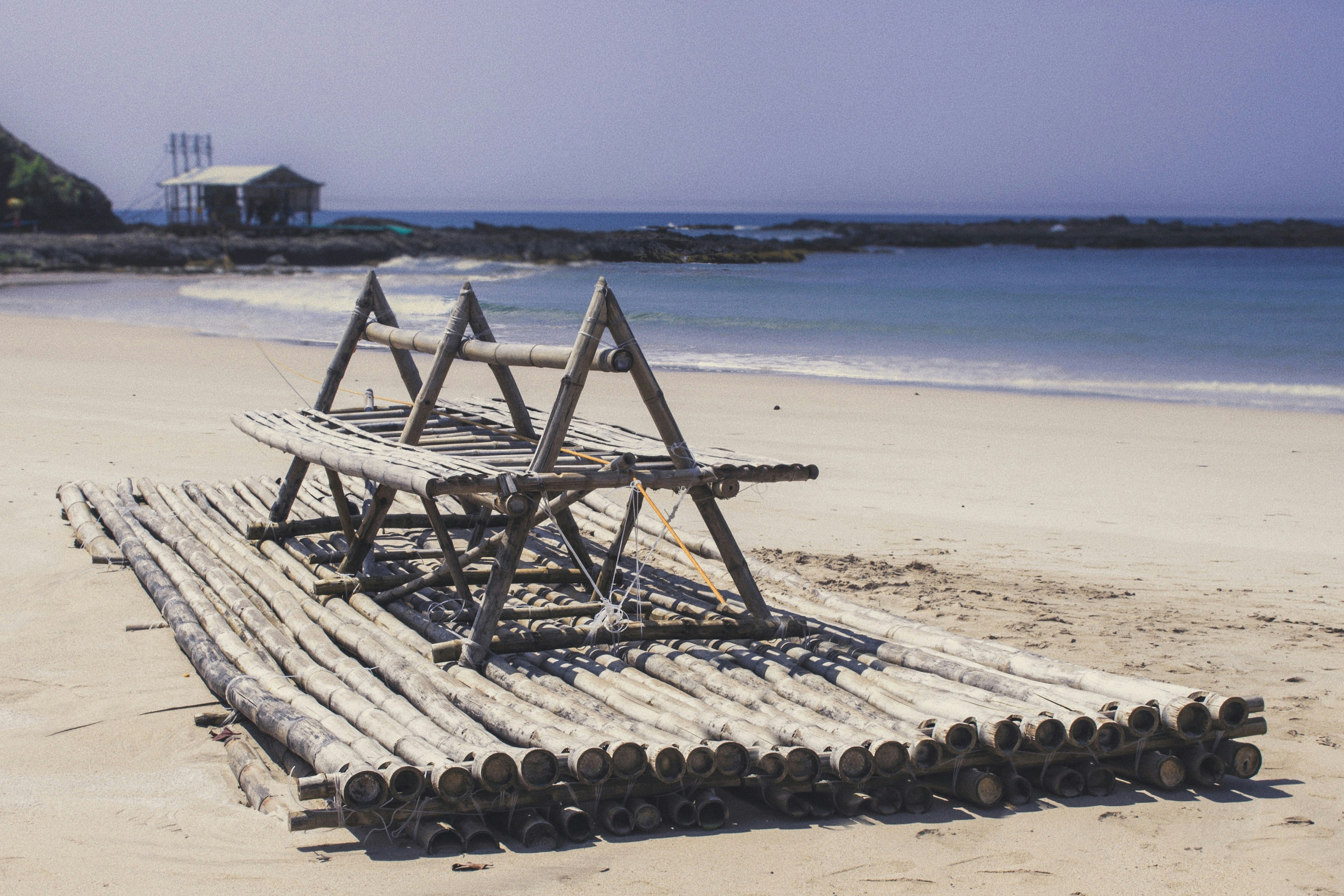 A pile of logs sitting on top of a sandy beach