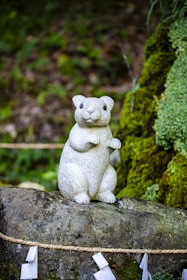 A small white bear sitting on top of a rock