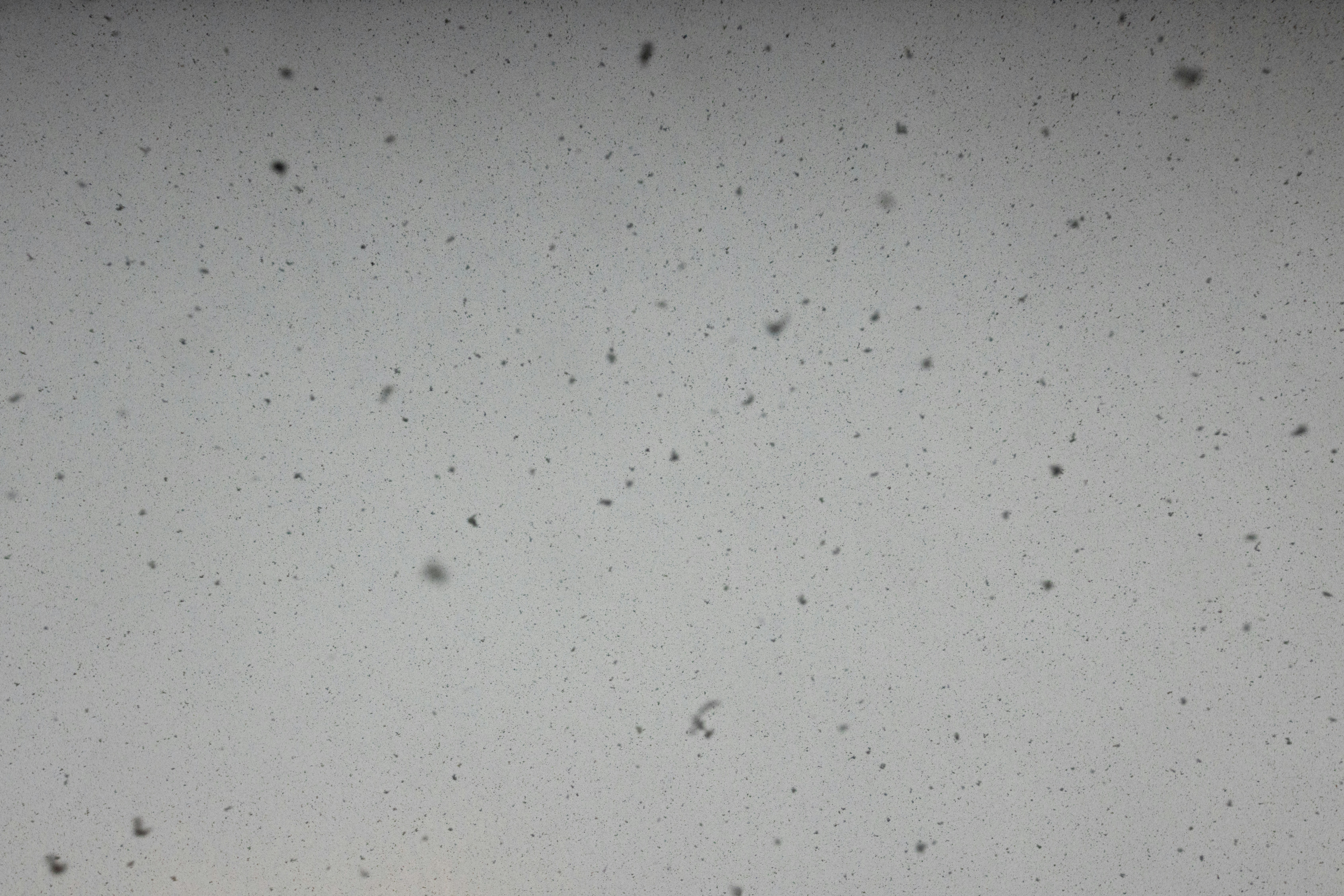 Photo by mikejerskine