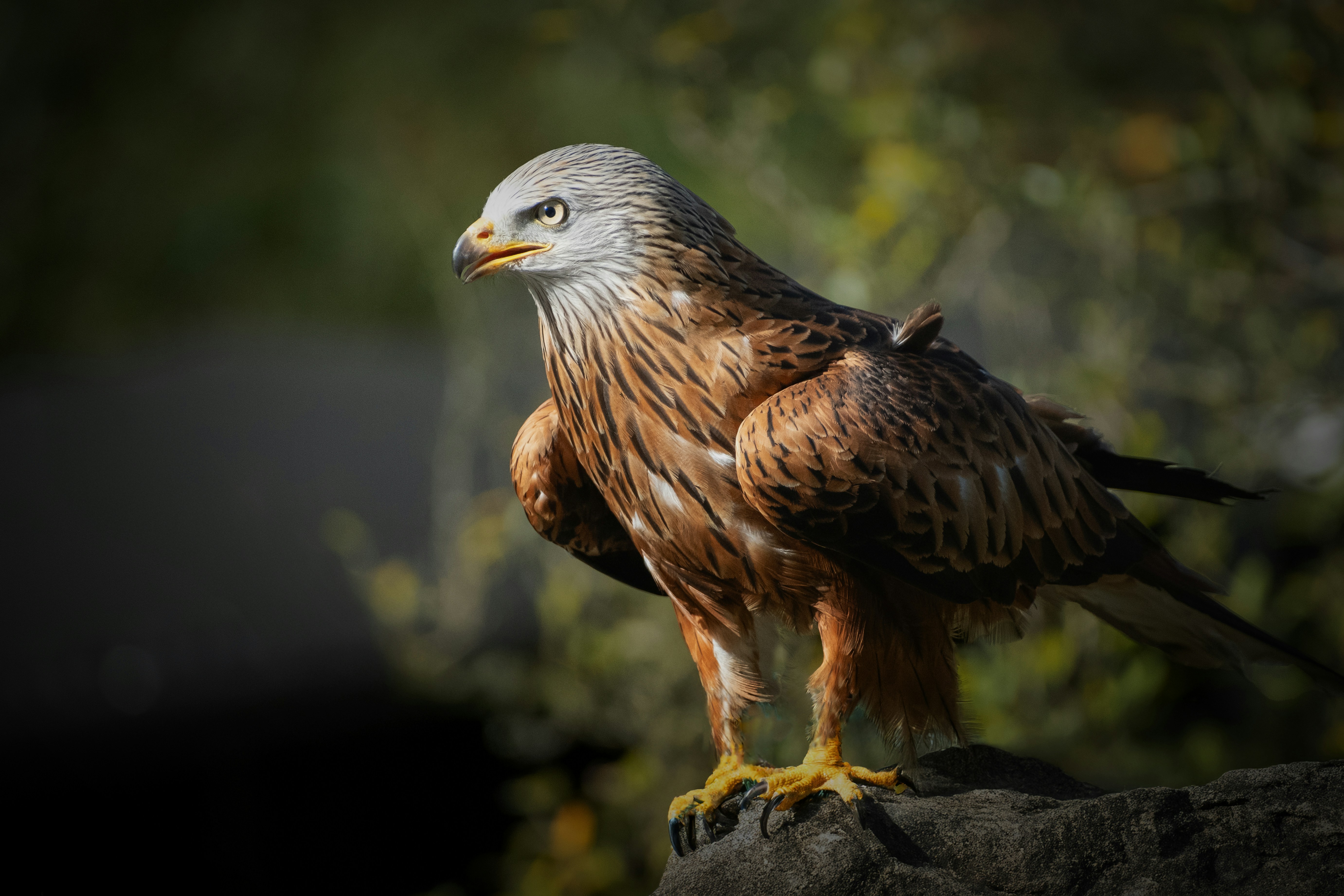 Photo by philrobson100