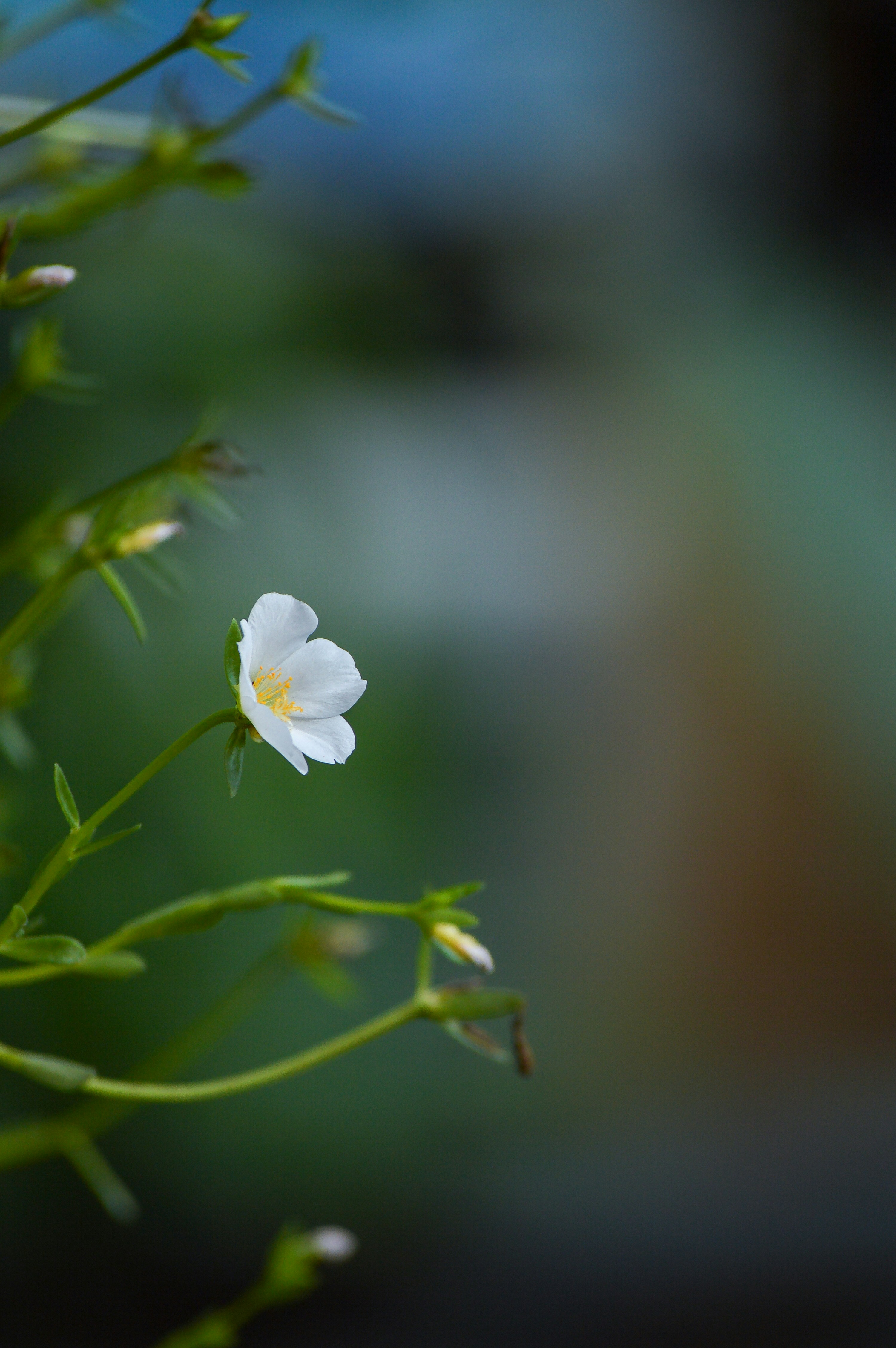 Photo by photography__from__sidd