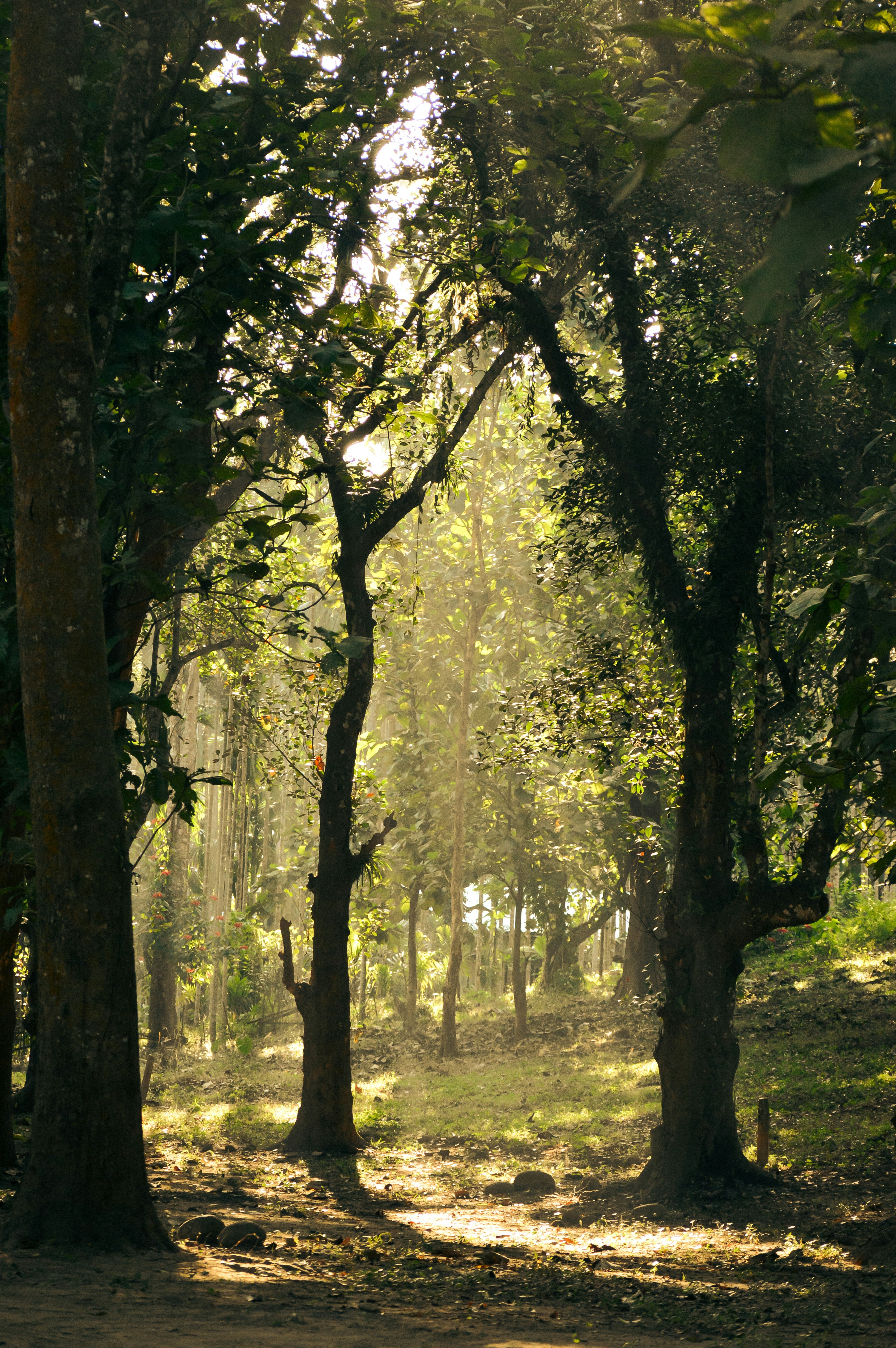 Photo by photography__from__sidd