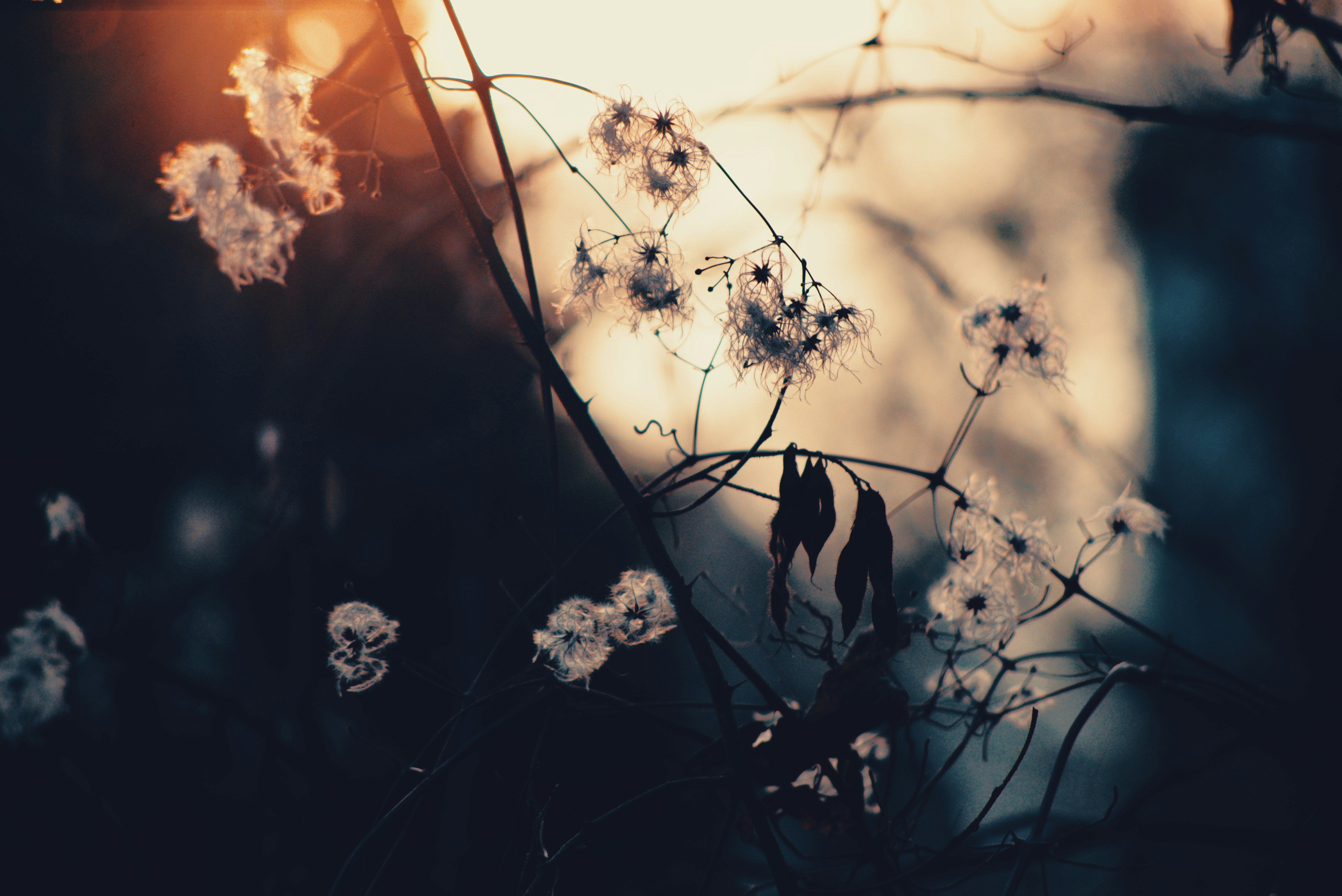 Photo by cherstve_pechivo