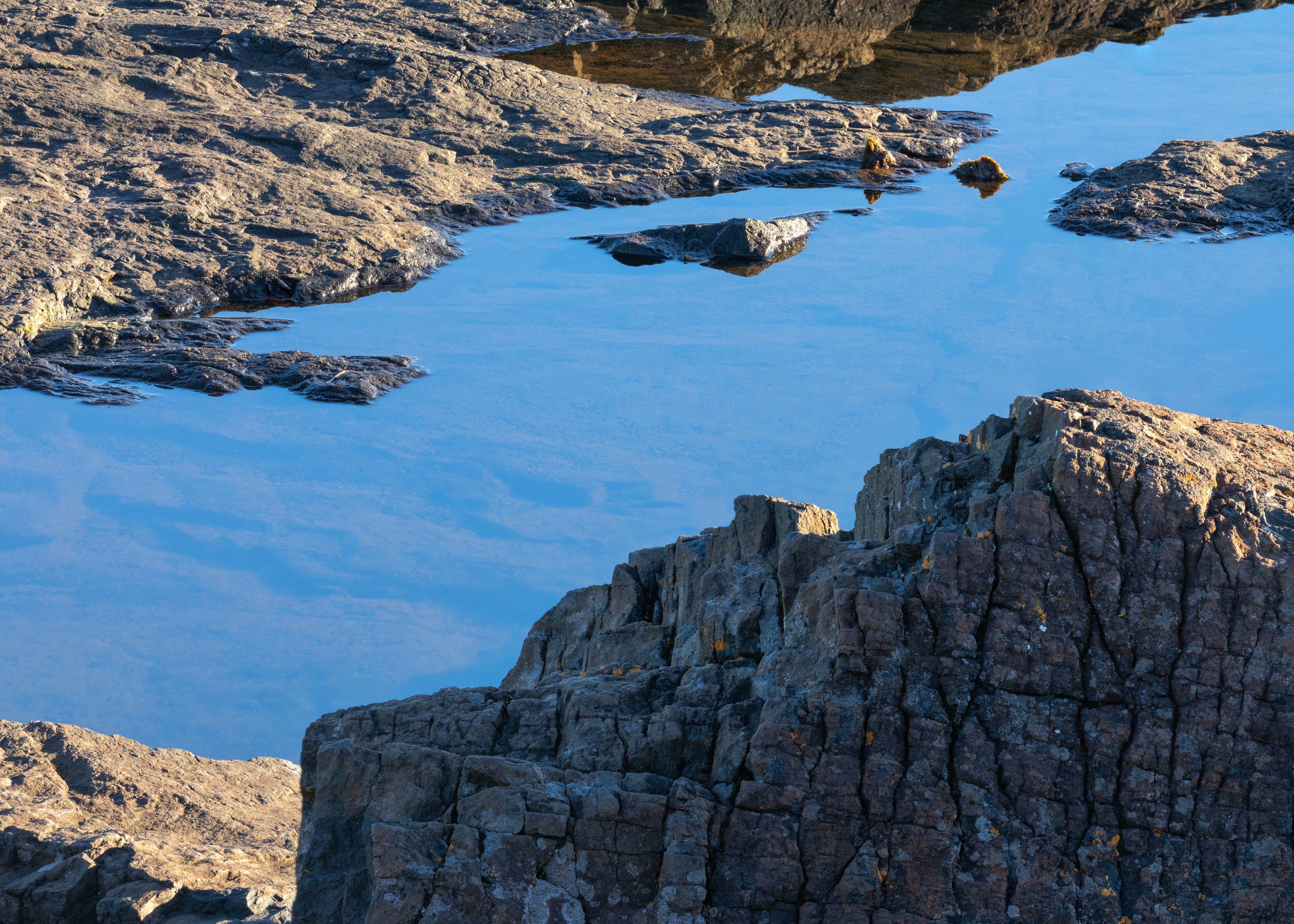 A bird sitting on a rock near a body of water