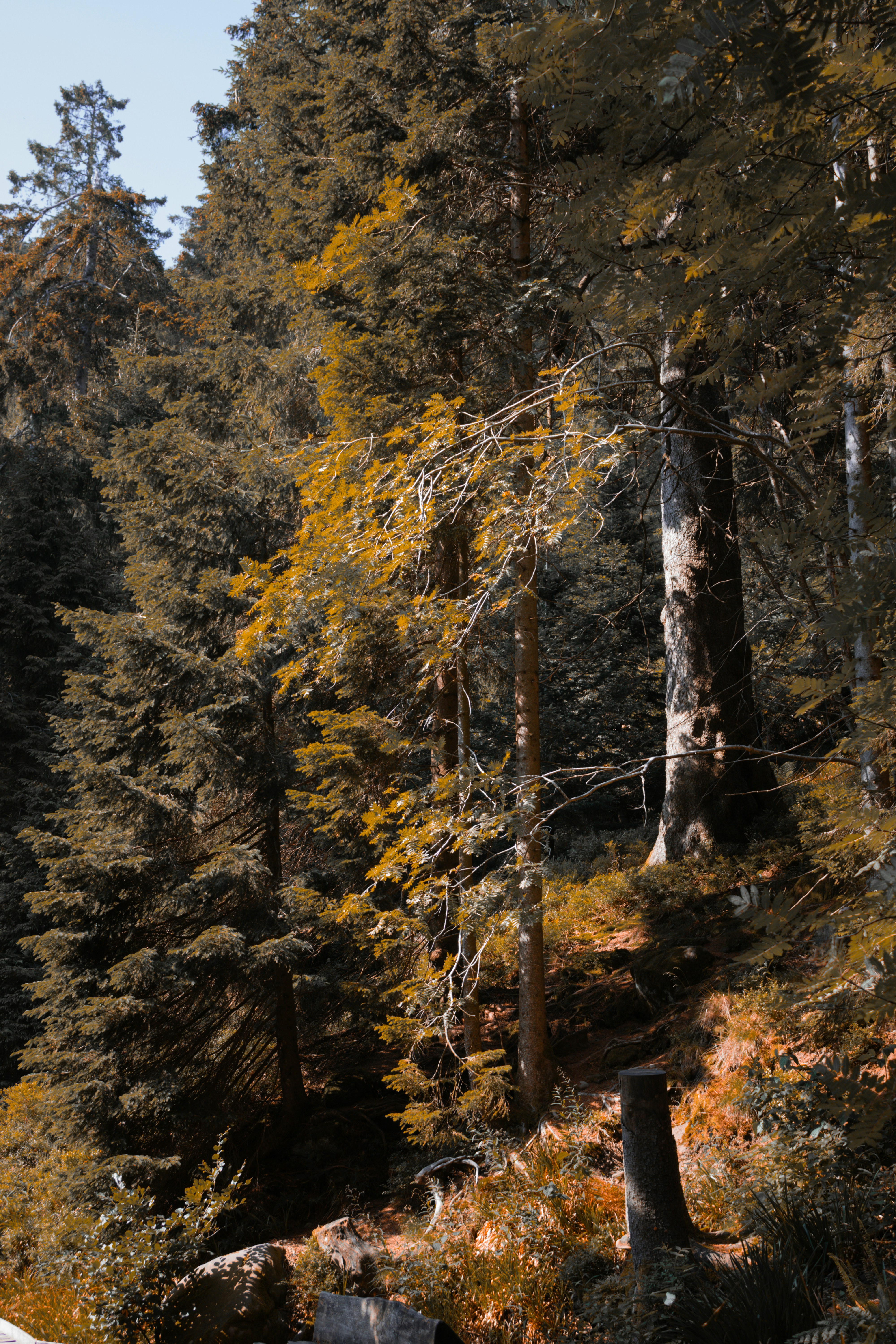 Photo by mihaelstojcevic