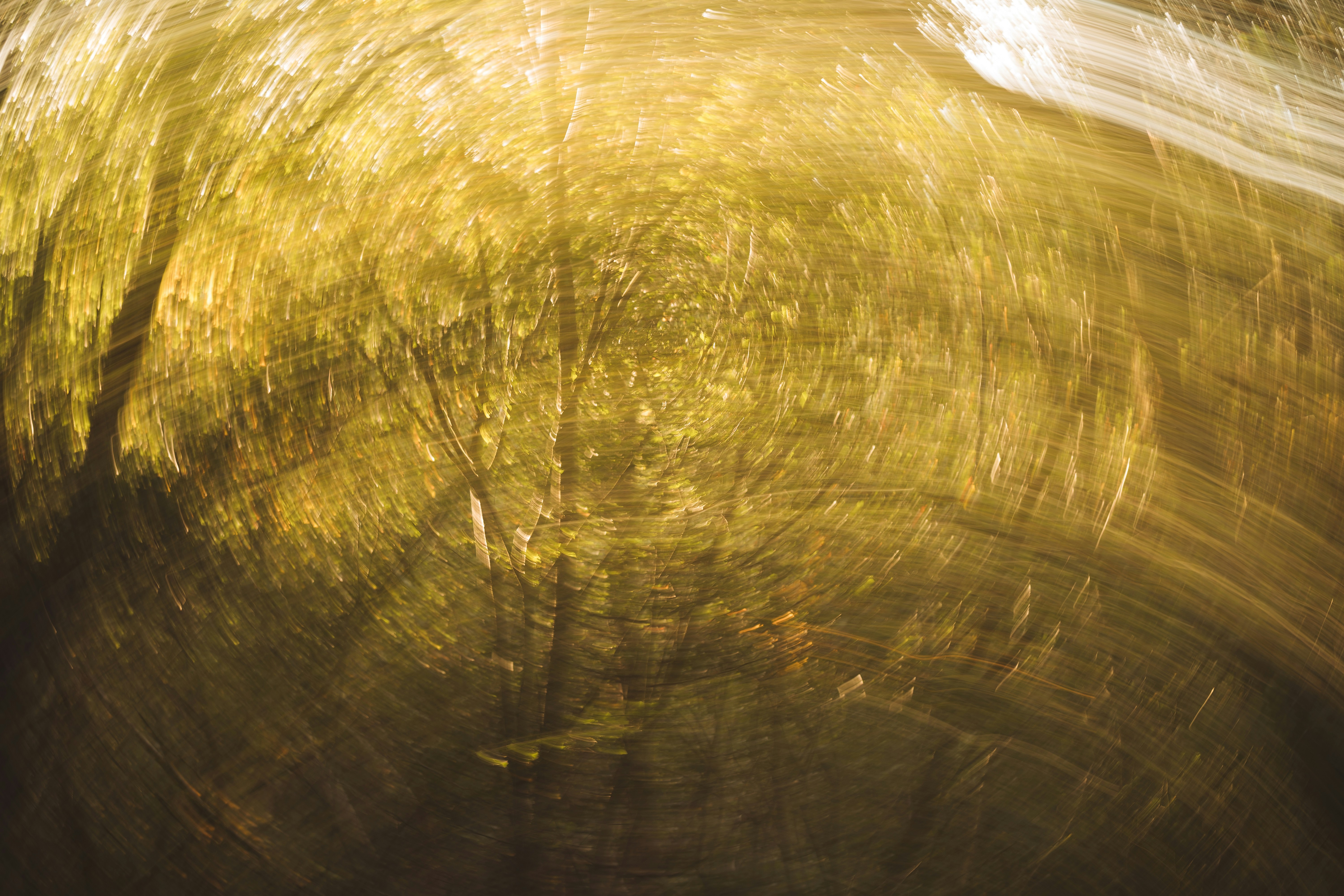 Photo by twowheelutopia