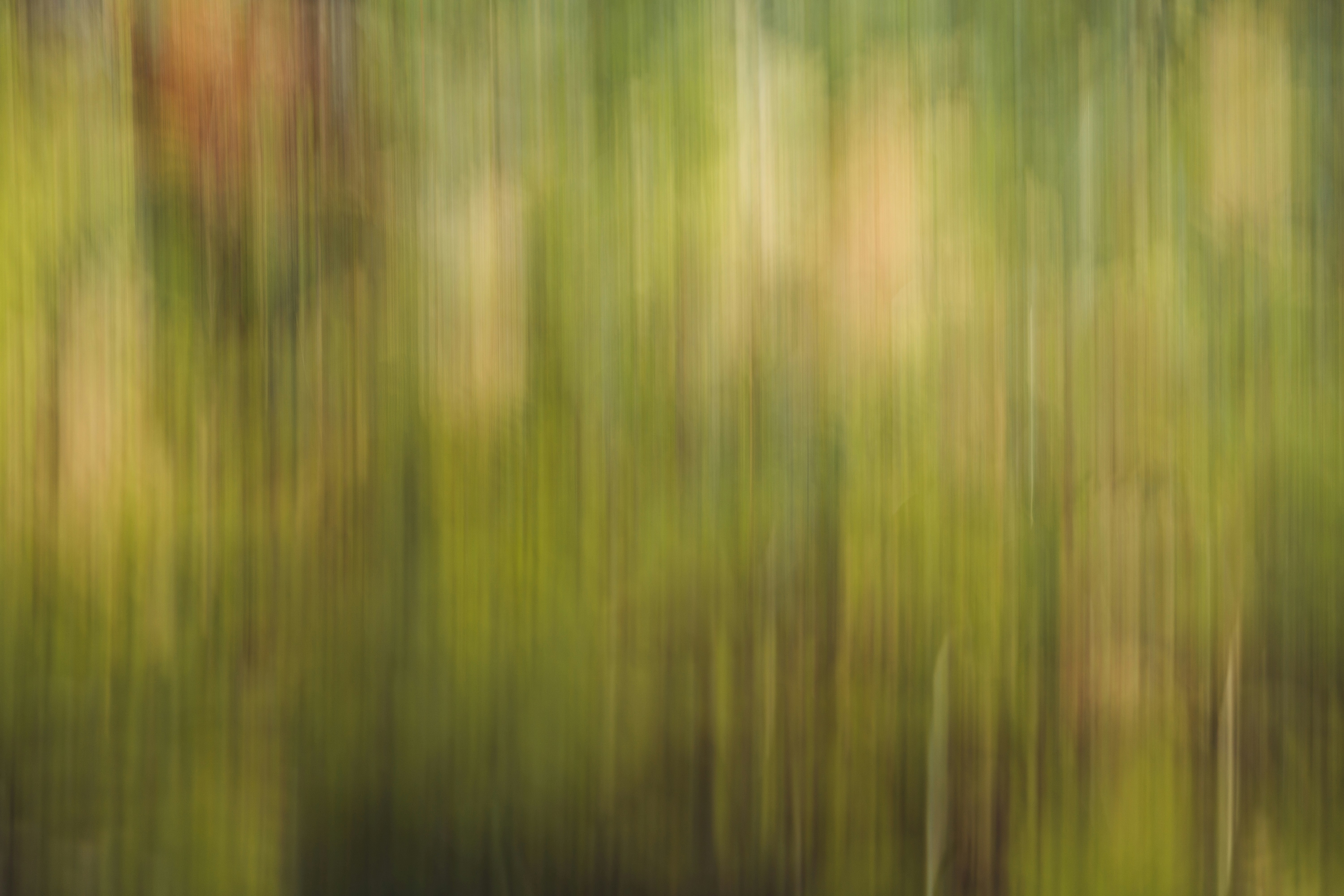 Photo by twowheelutopia