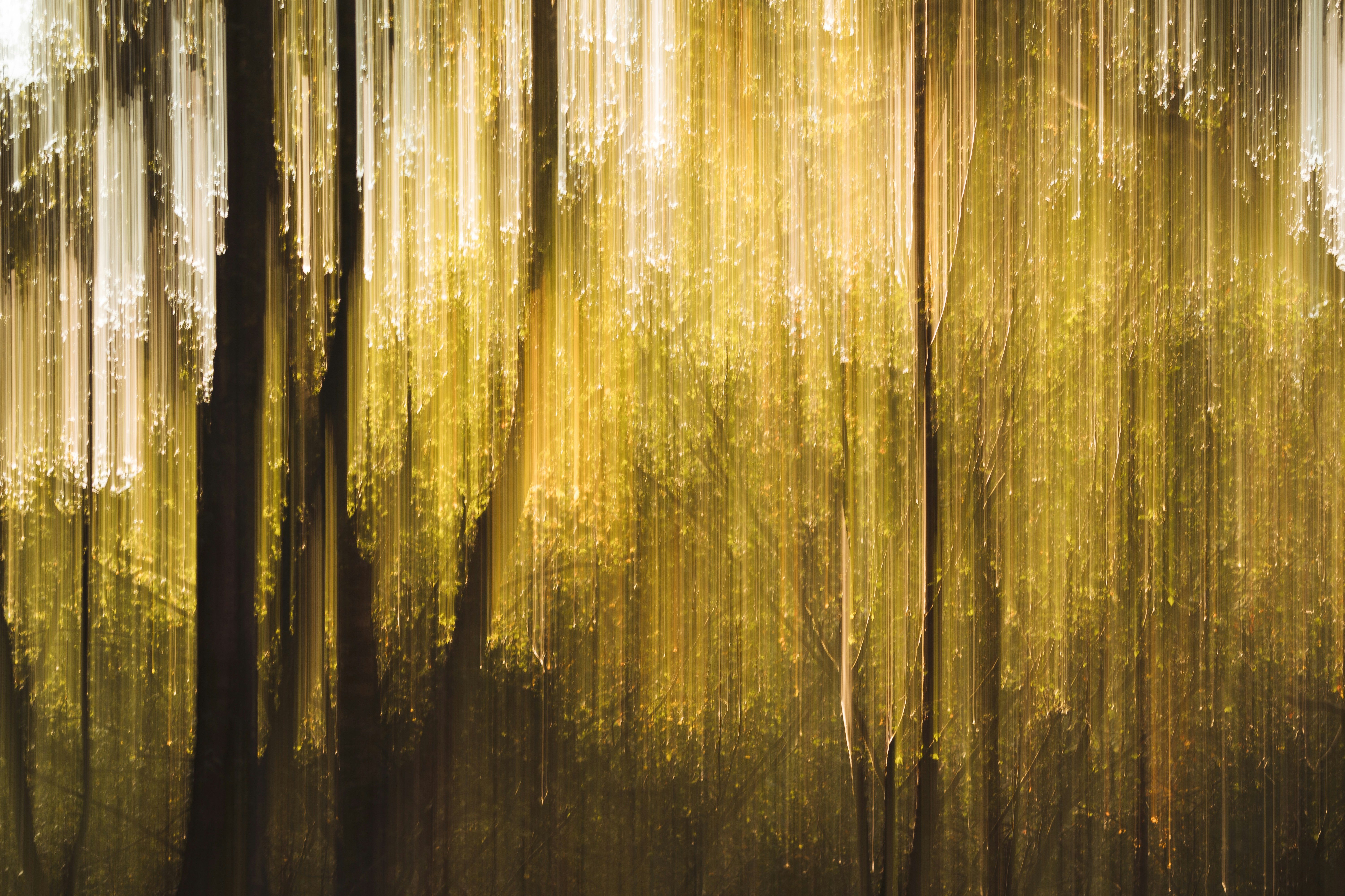 Photo by twowheelutopia