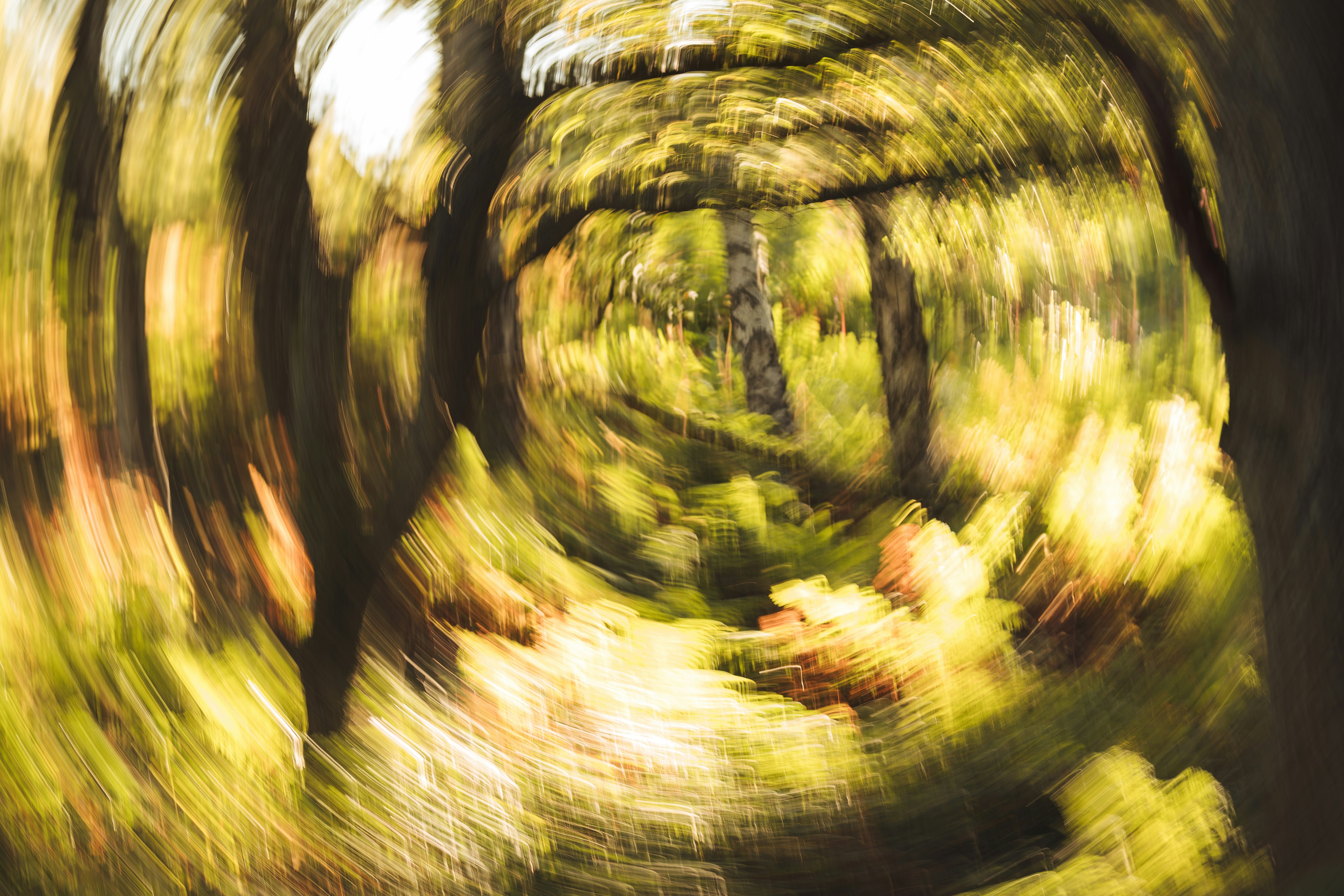 Photo by twowheelutopia