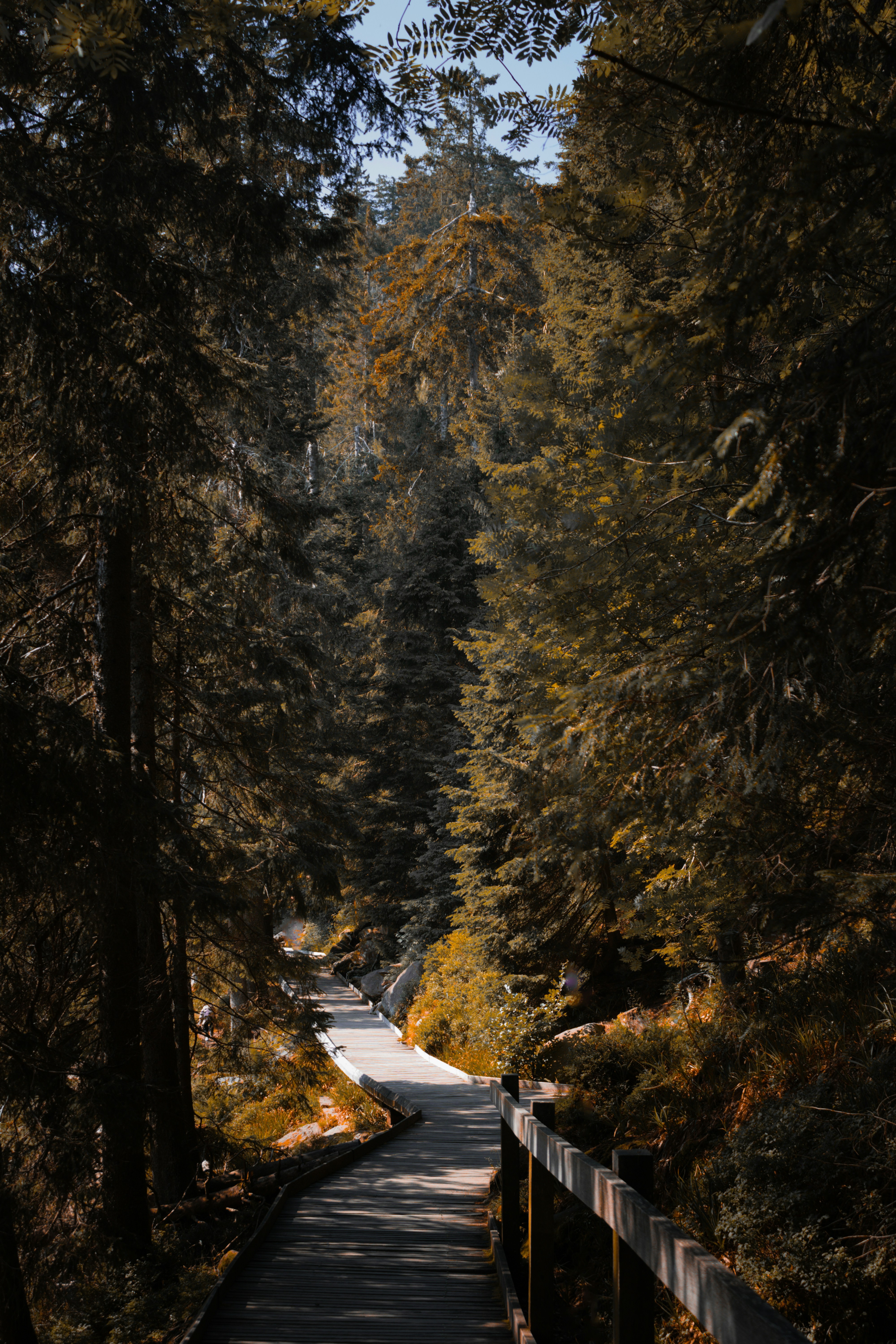 Photo by mihaelstojcevic