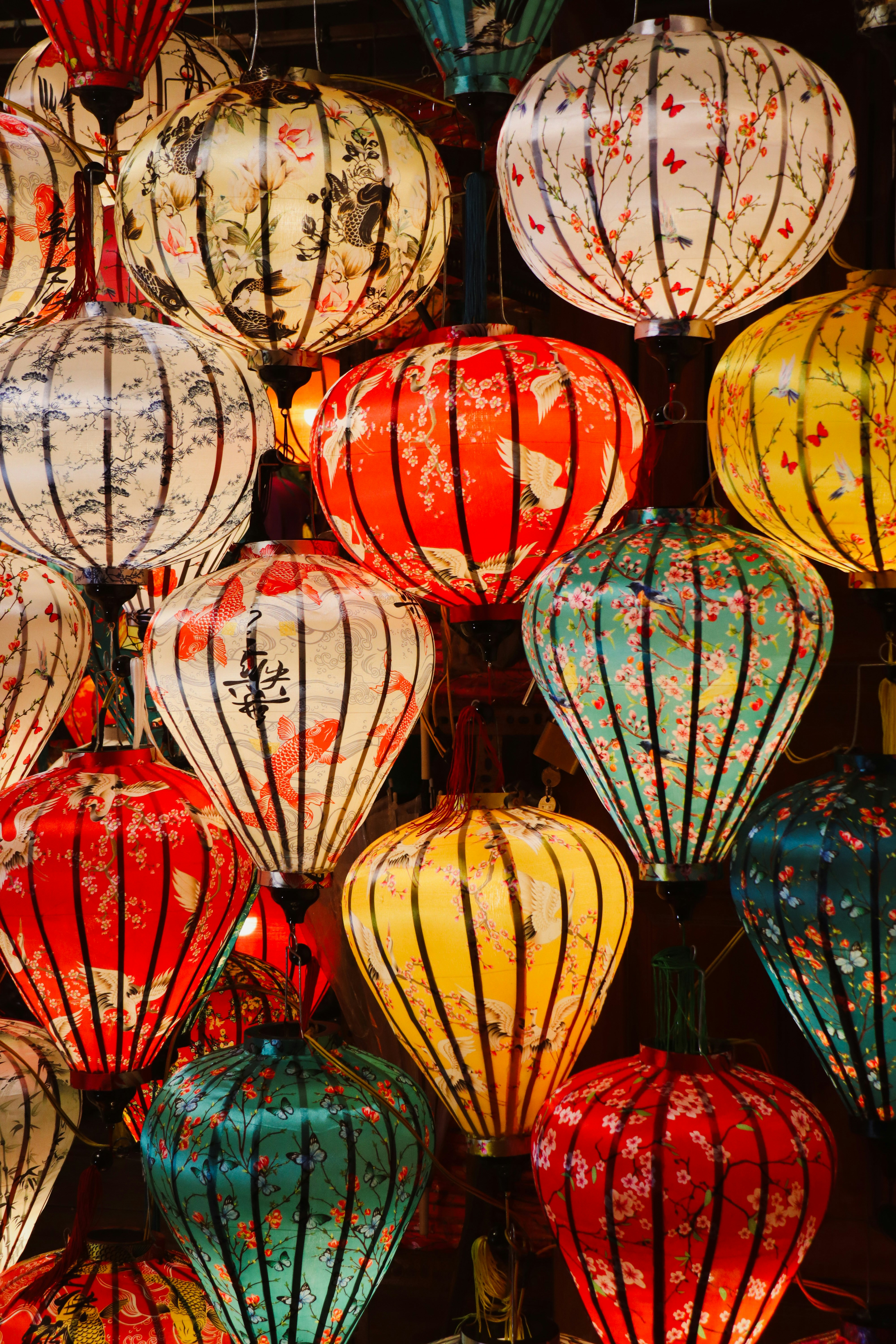 Photo by nalani_photo