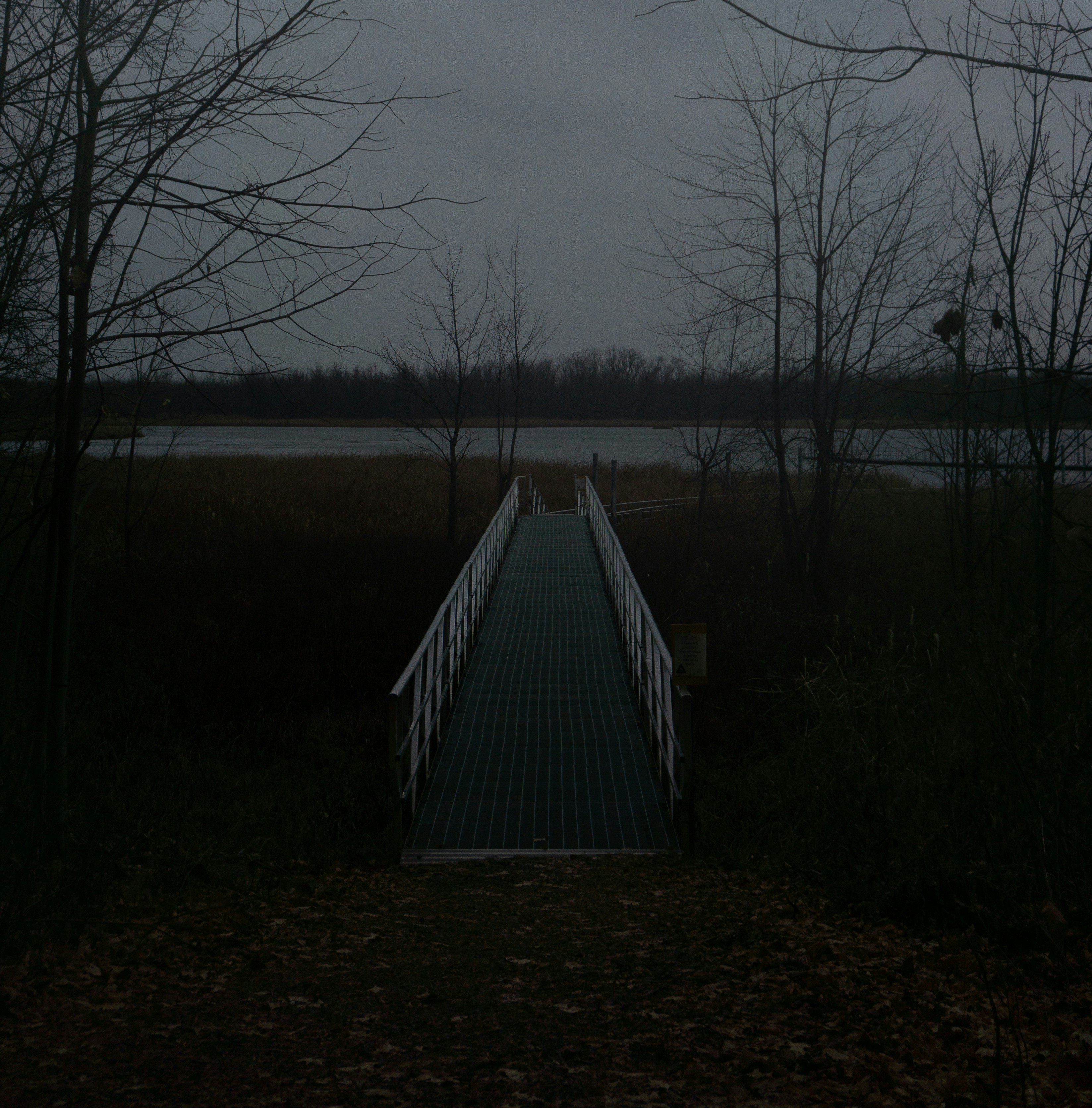 수역으로 이어지는 나무 산책로