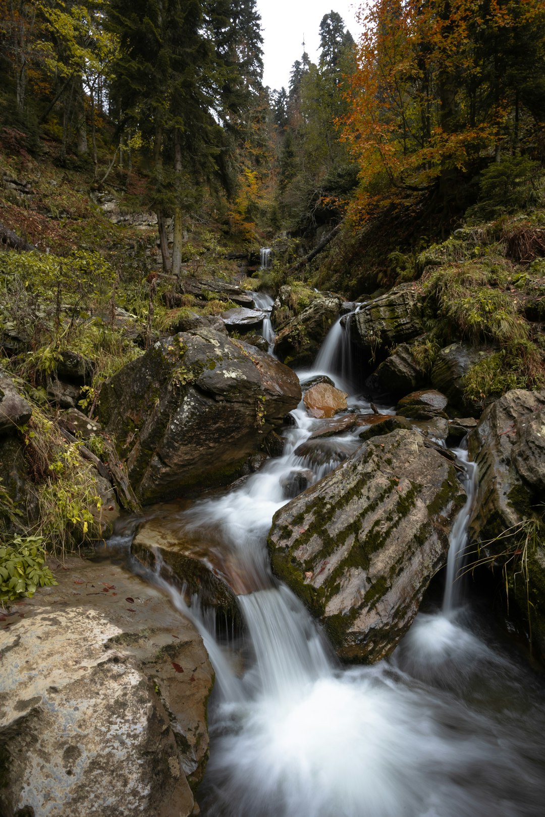 A vibrant travel photograph showcasing a longtail boat cruising through the serene, green waters of the Mekong River in Si Phan Don, Southern Laos, with lush islands in the background under a warm, sunny sky.