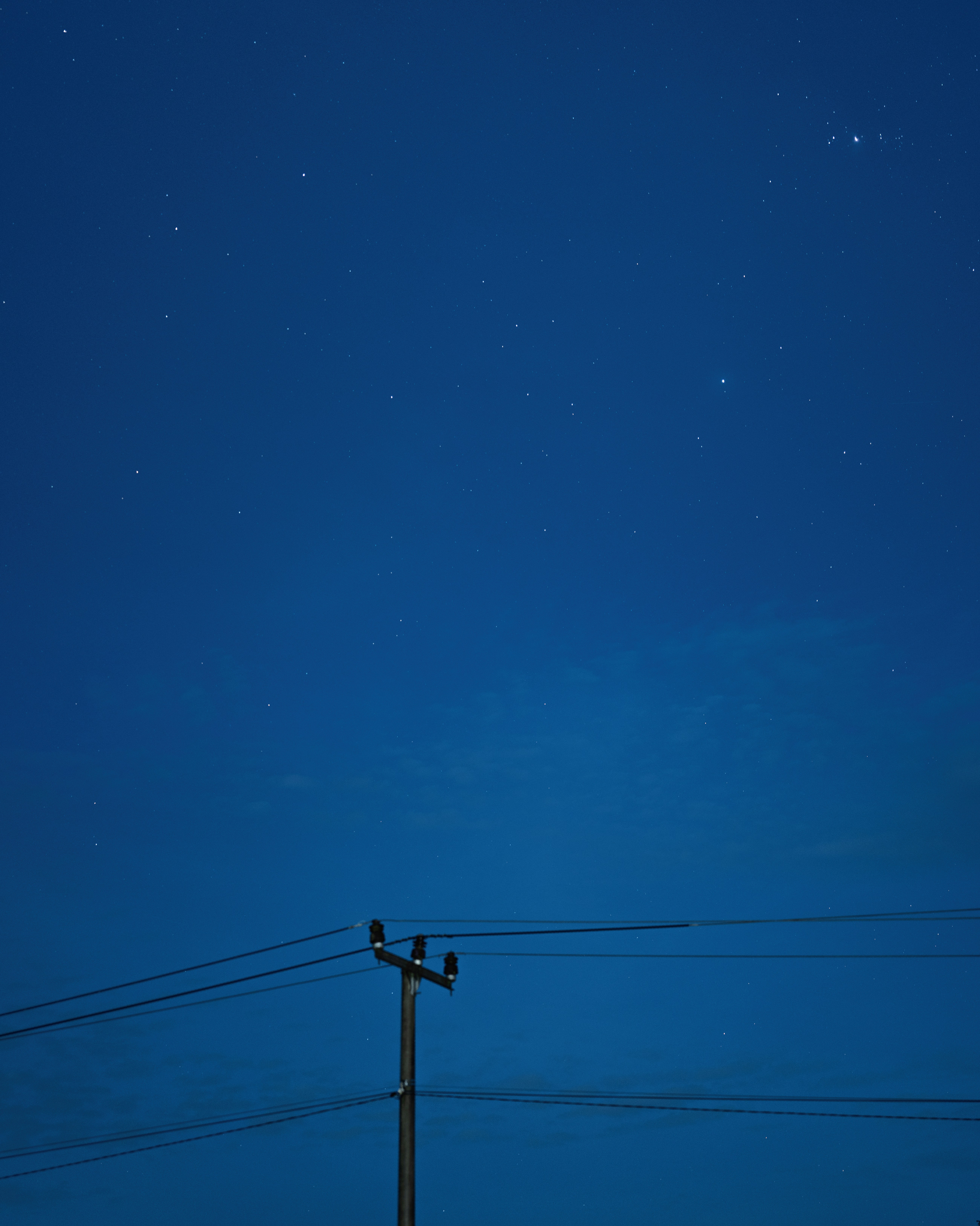 A couple of birds sitting on top of a telephone pole