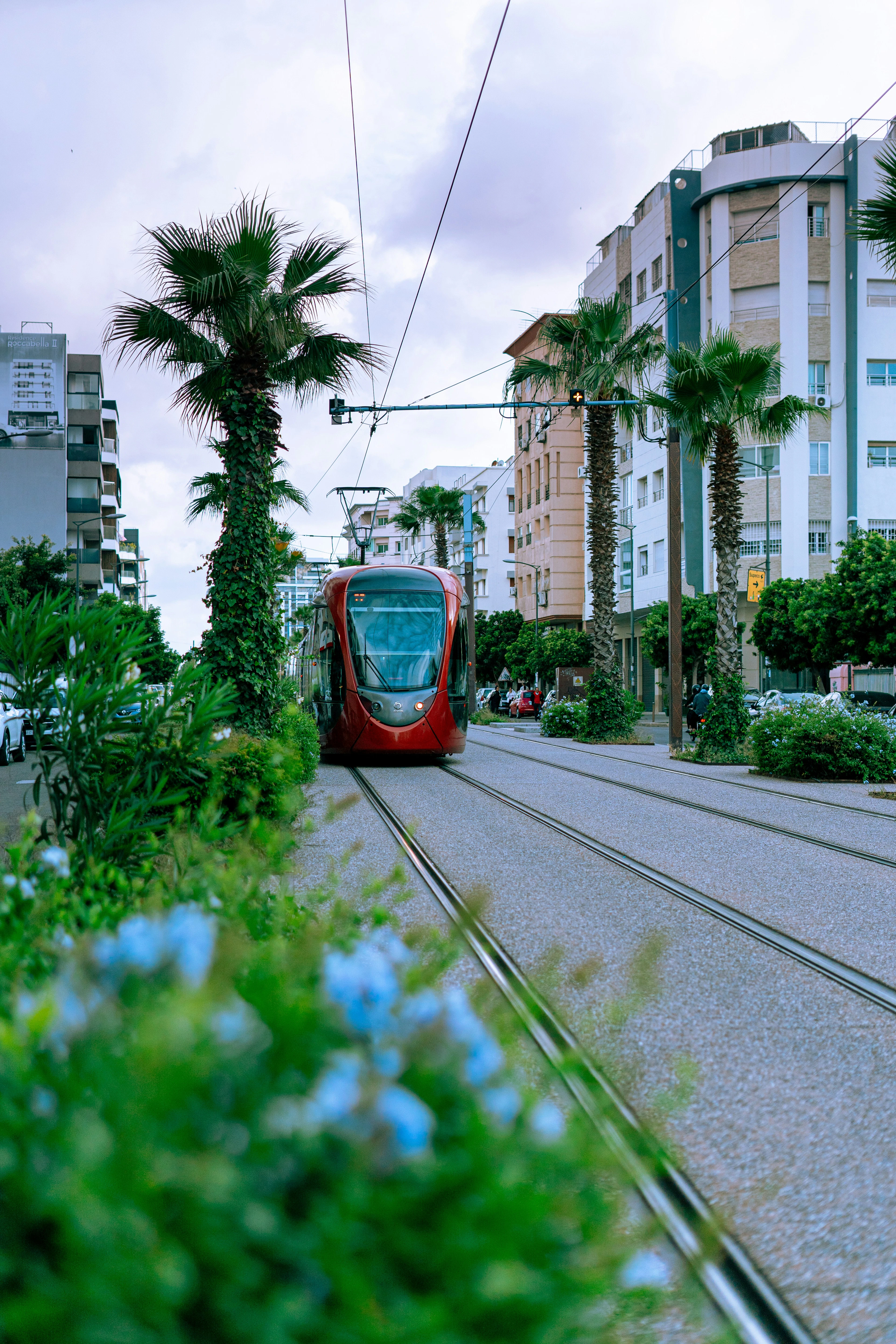 A red Casablanca tram running down a palm-lined city street past apartment blocks