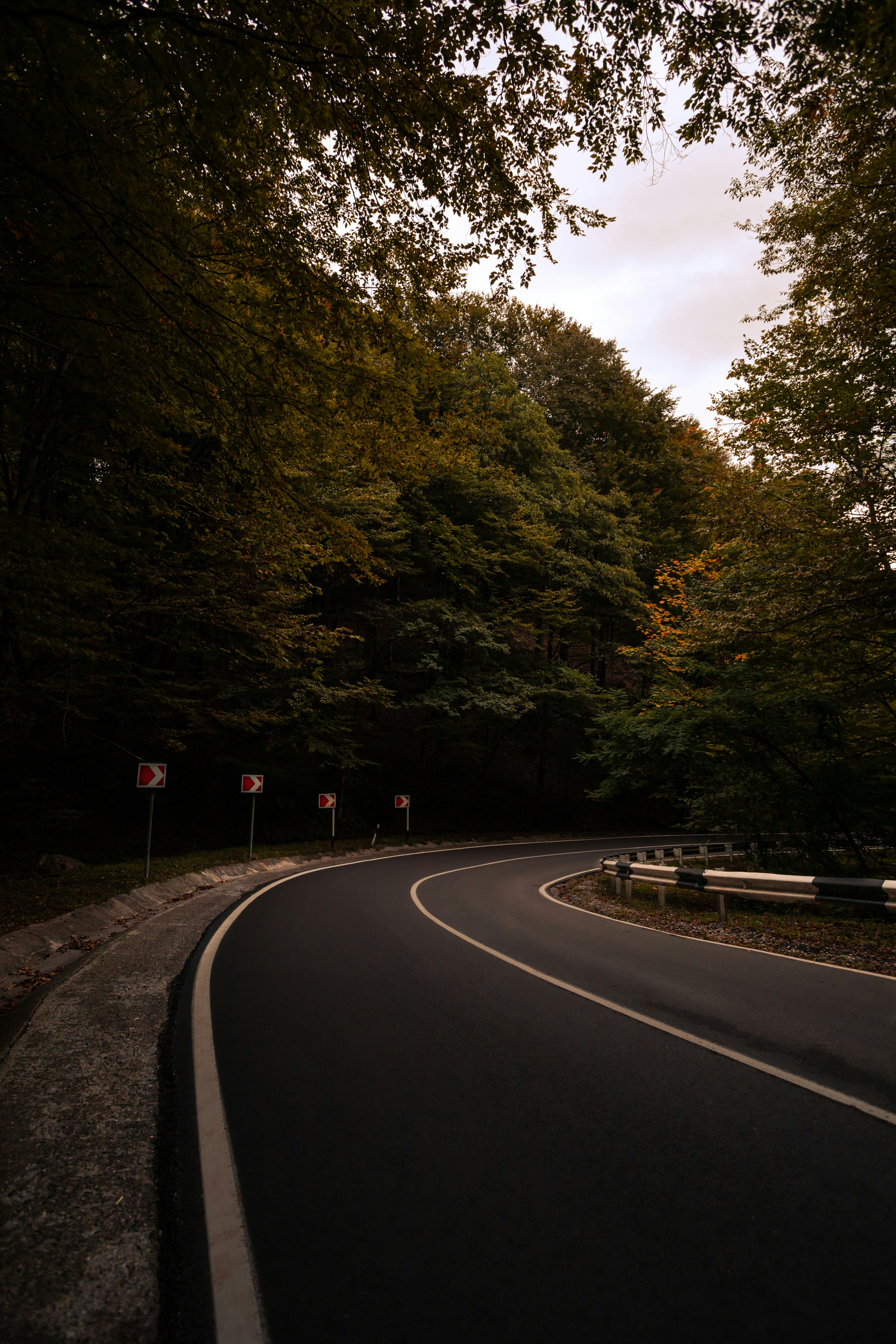 A curve in the road with trees in the background