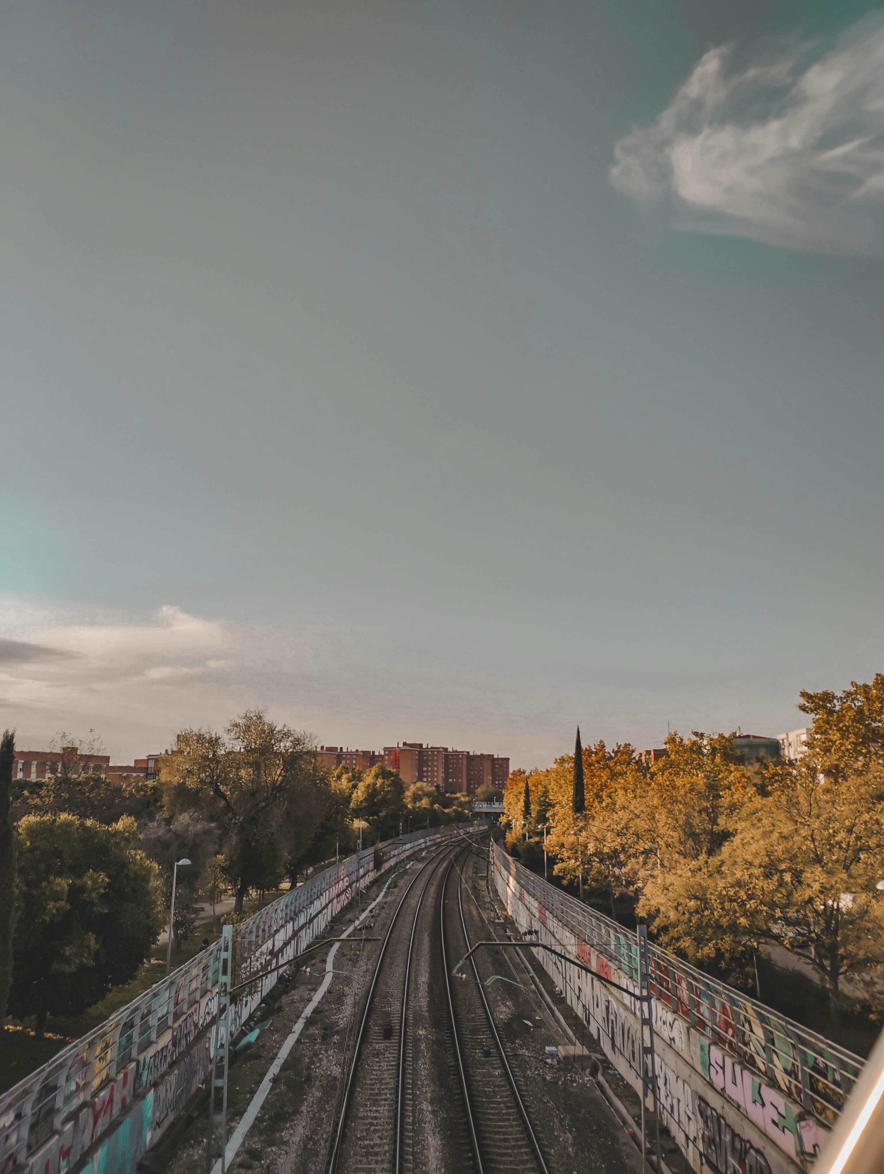 Un tren viajando por las vías del tren junto a un bosque