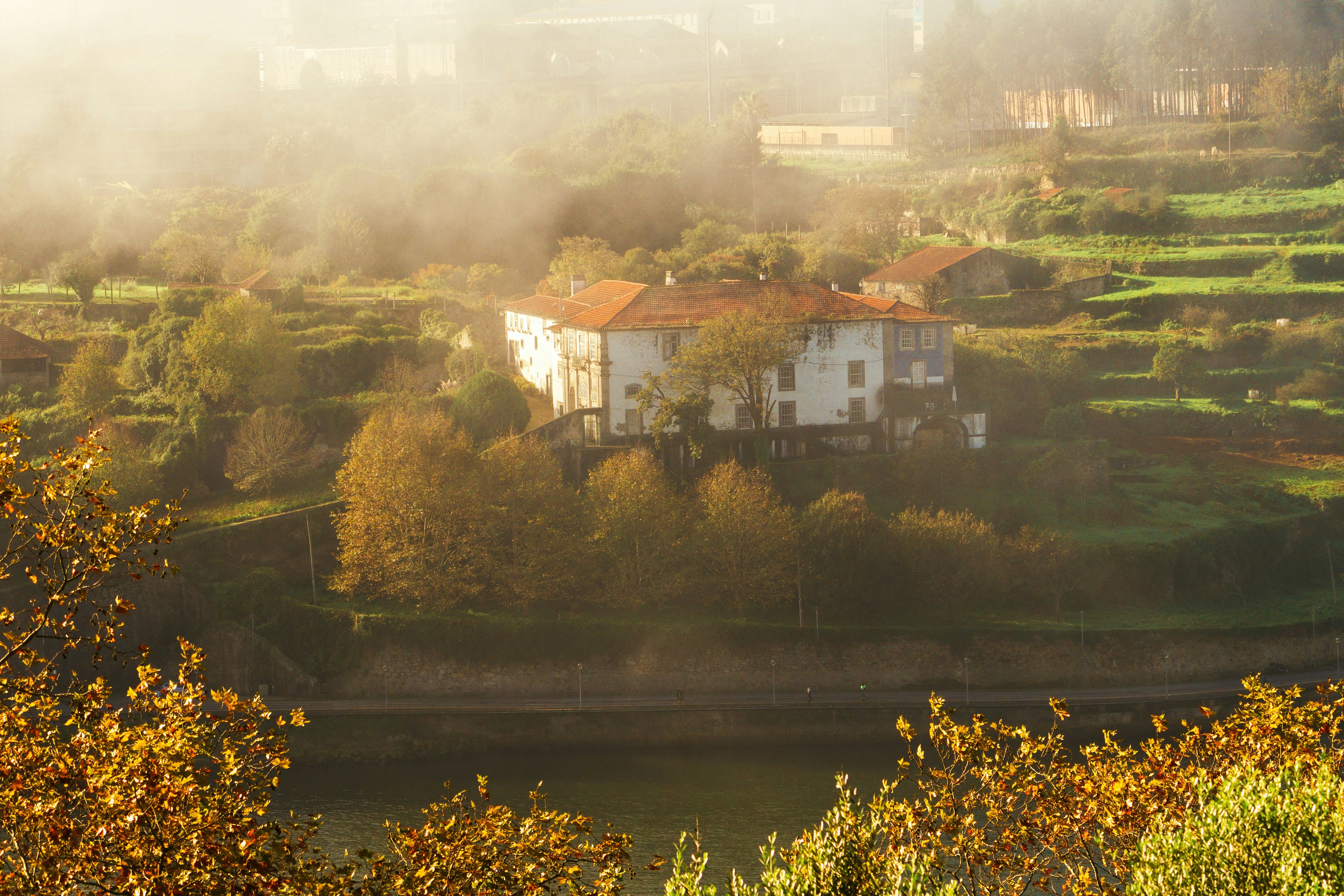 Image by Pourya Gohari via Unsplash