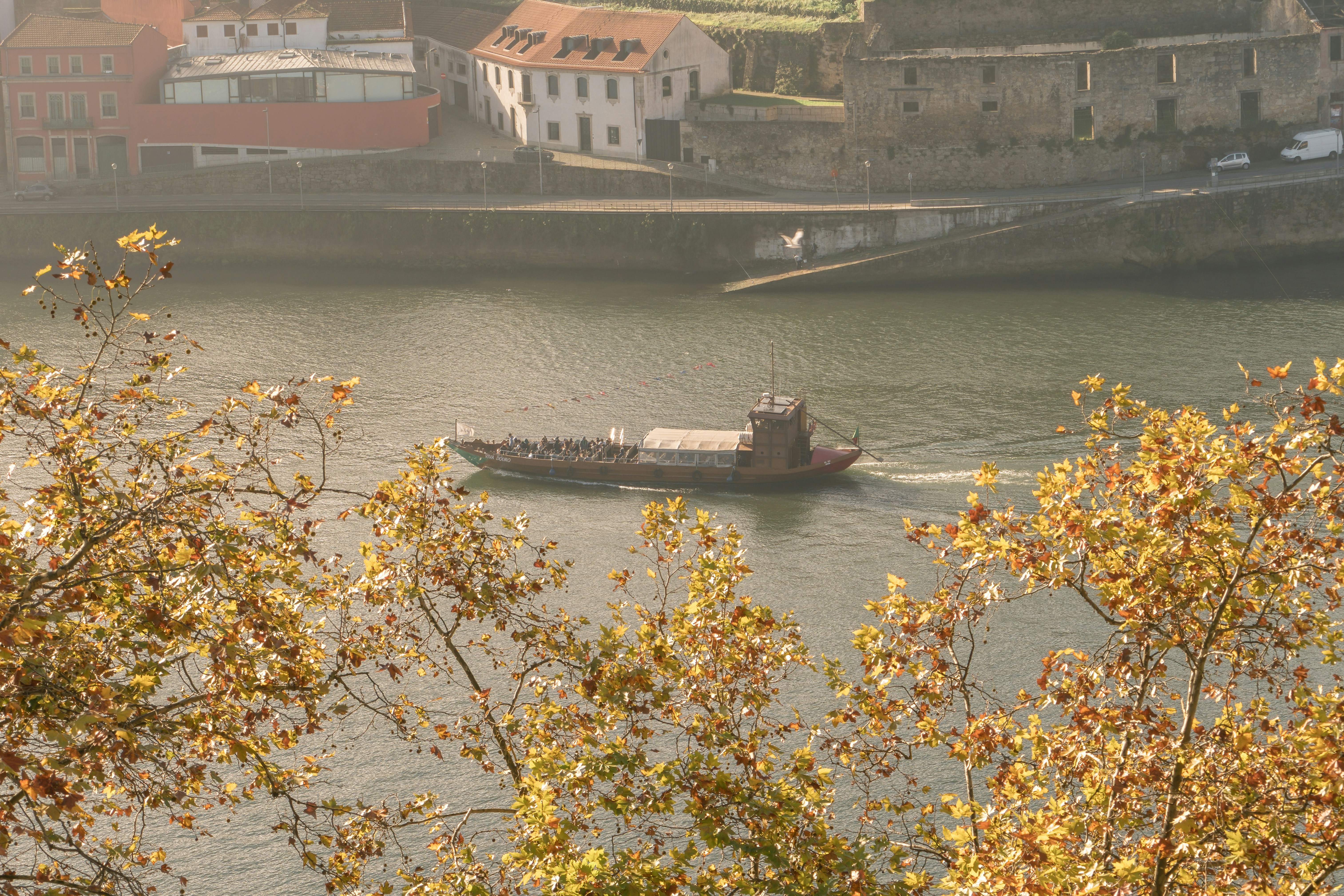 porto autumn