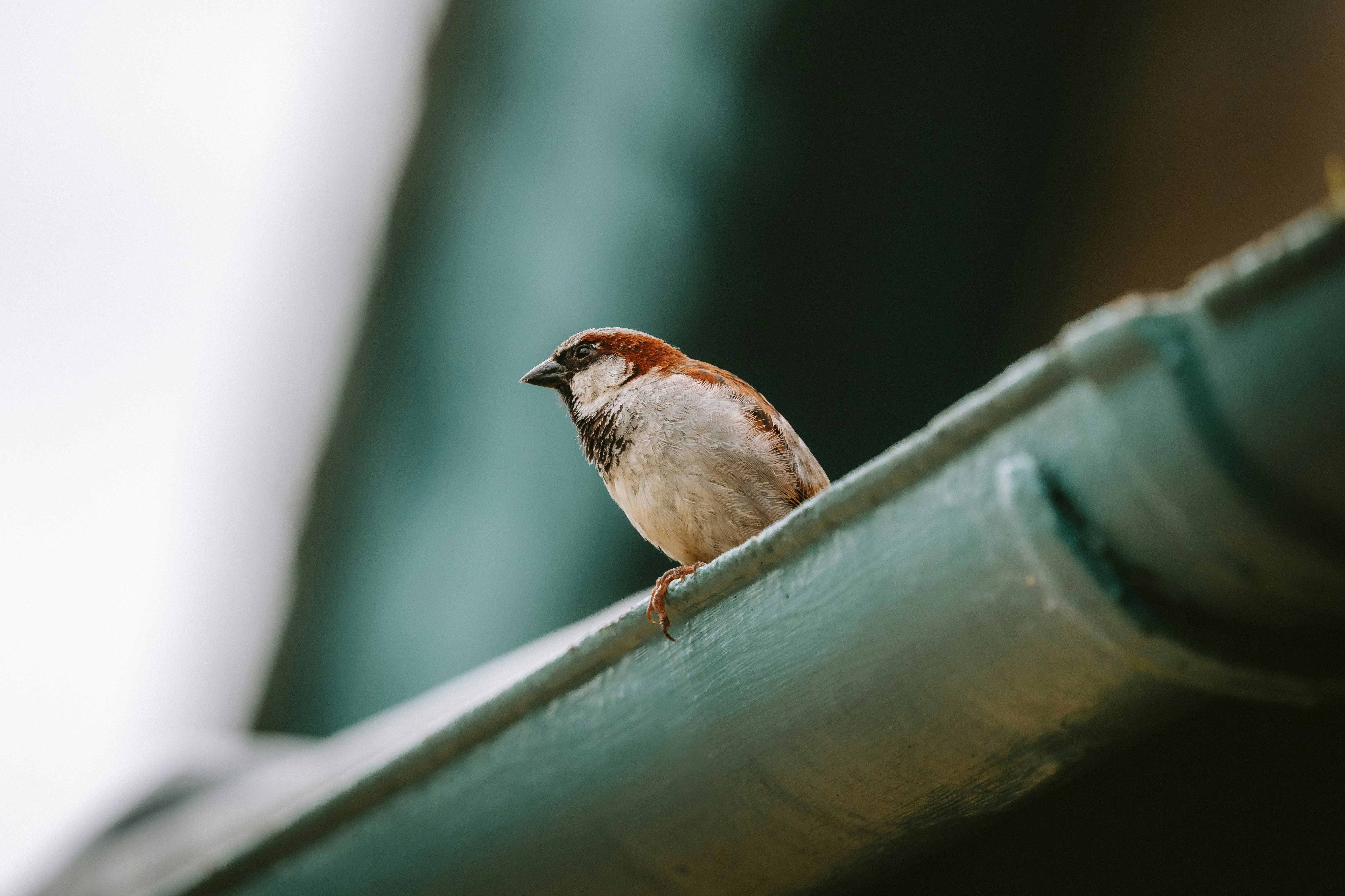 Photo by twowheelutopia