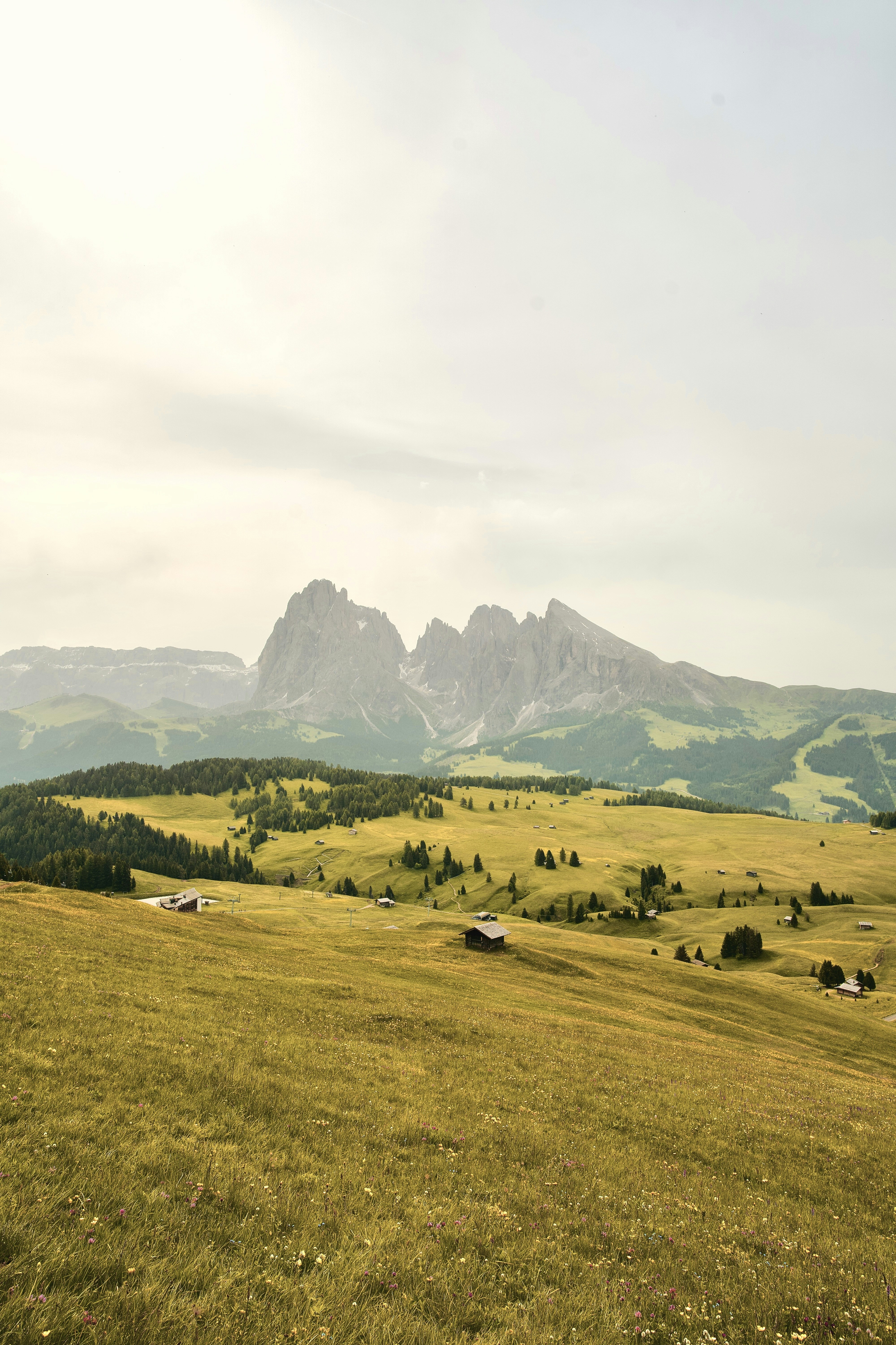 Photo by alexiacouillard