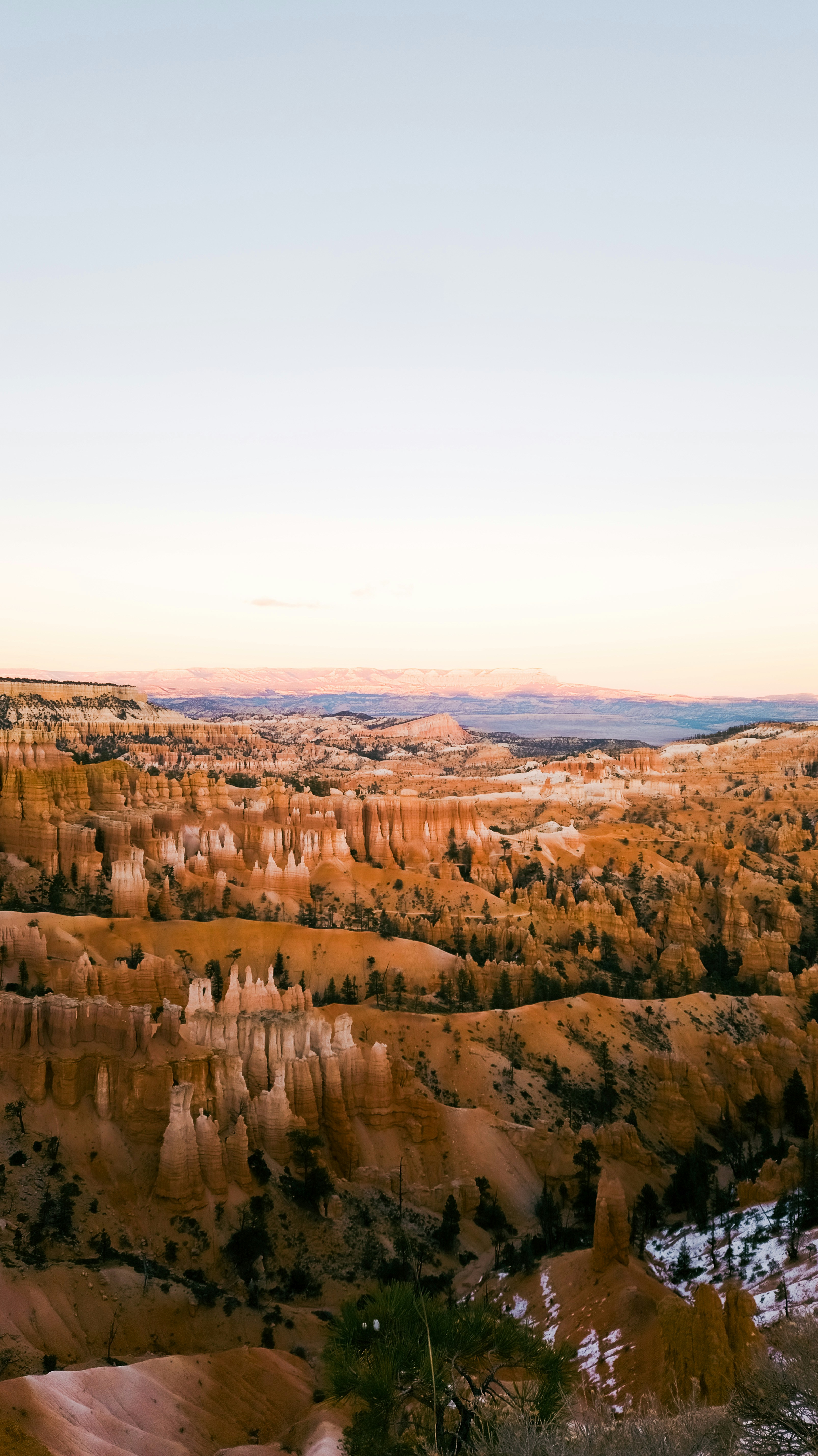A scenic view of a valley with trees in the distance
