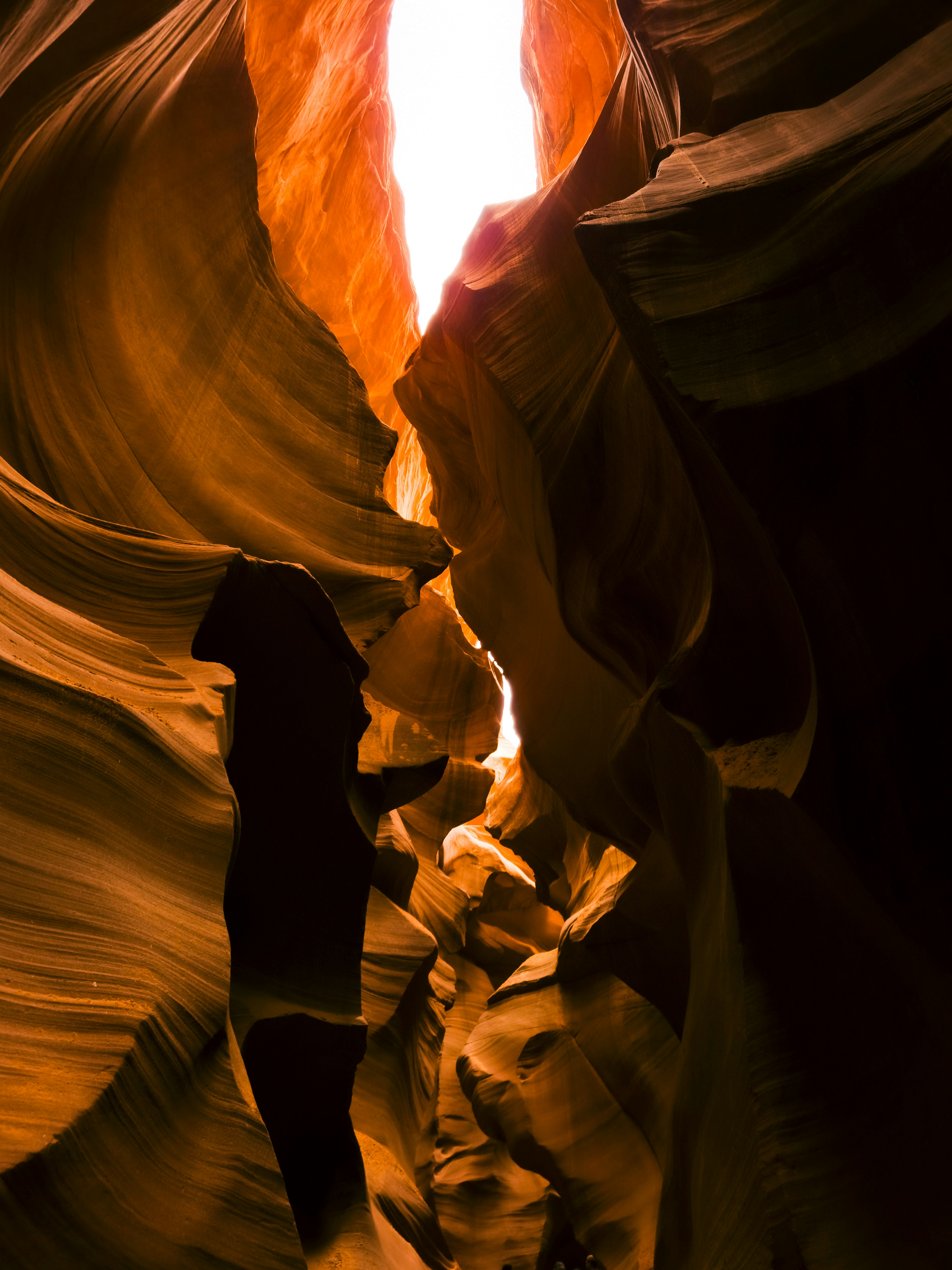 Photo by victordevos