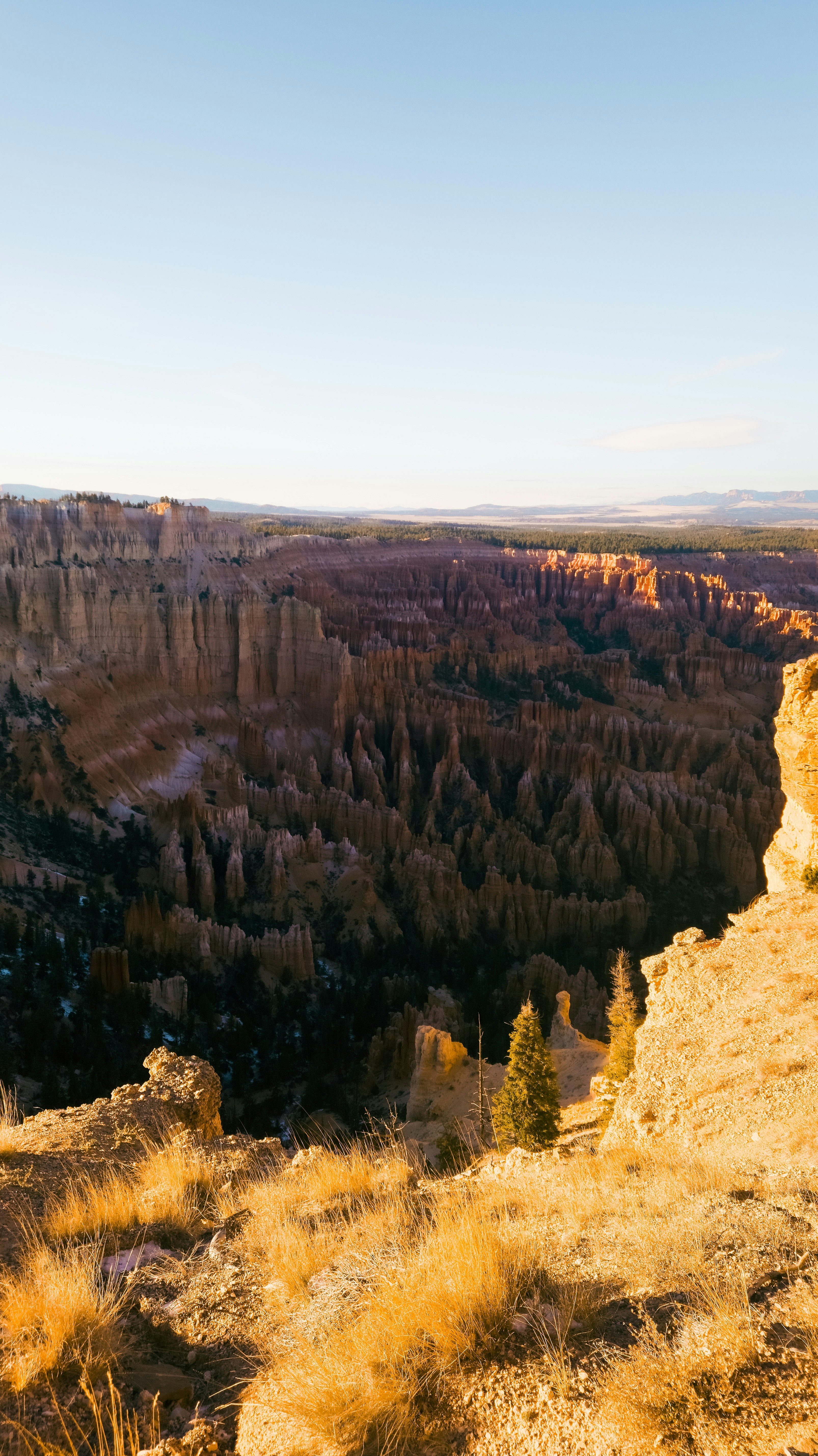 A man standing on top of a cliff next to a forest