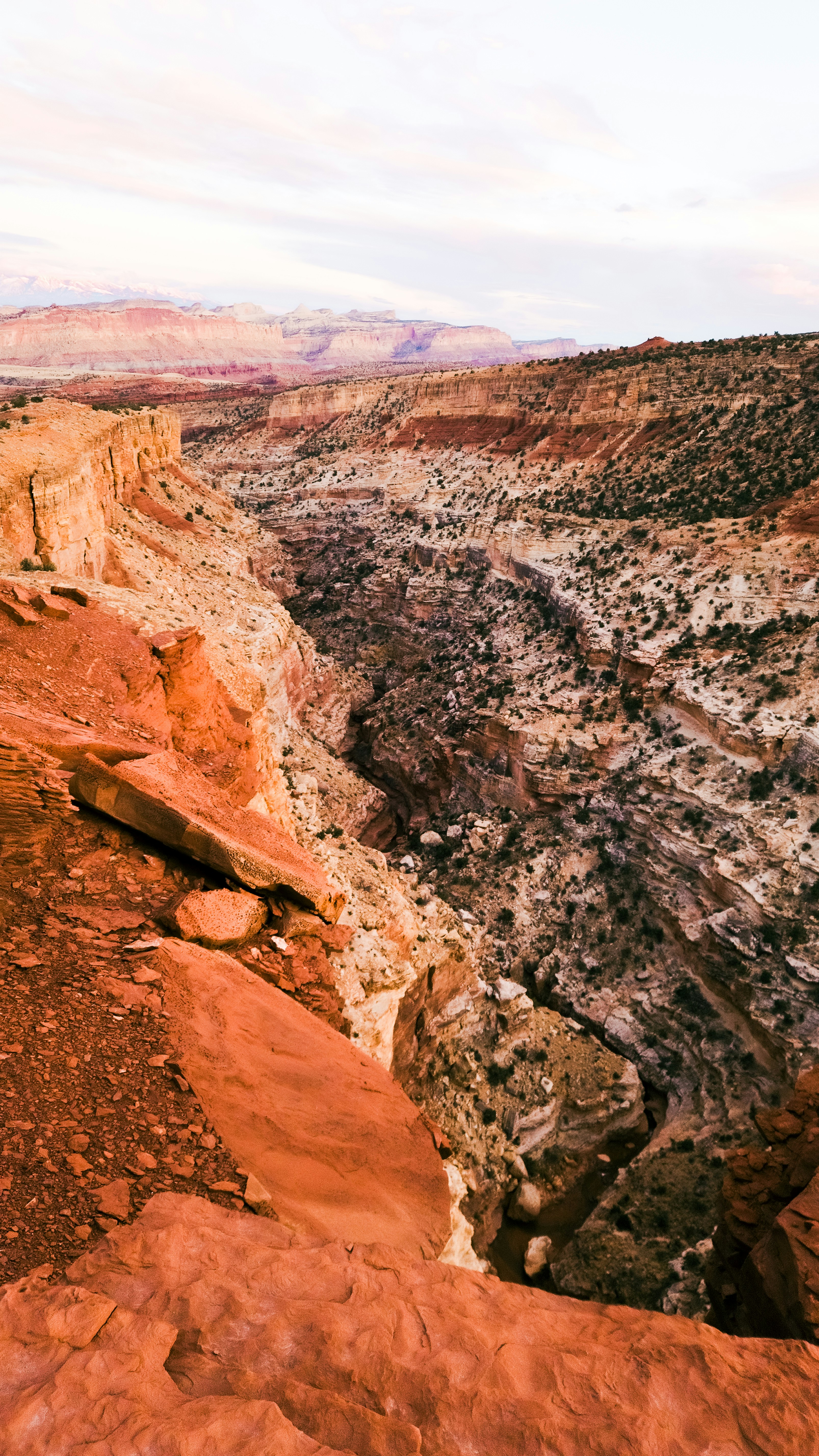 Photo by victordevos