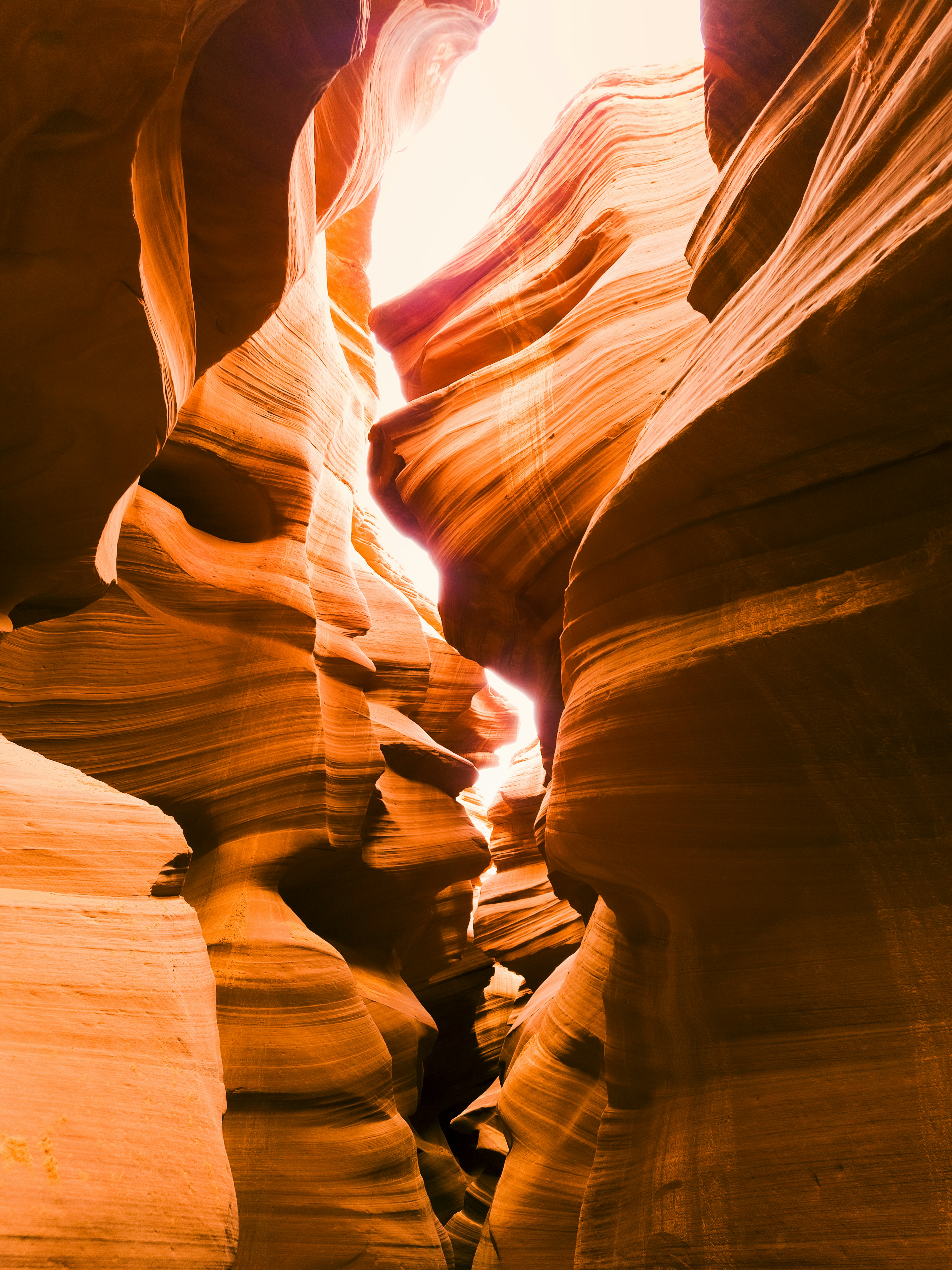 Photo by victordevos