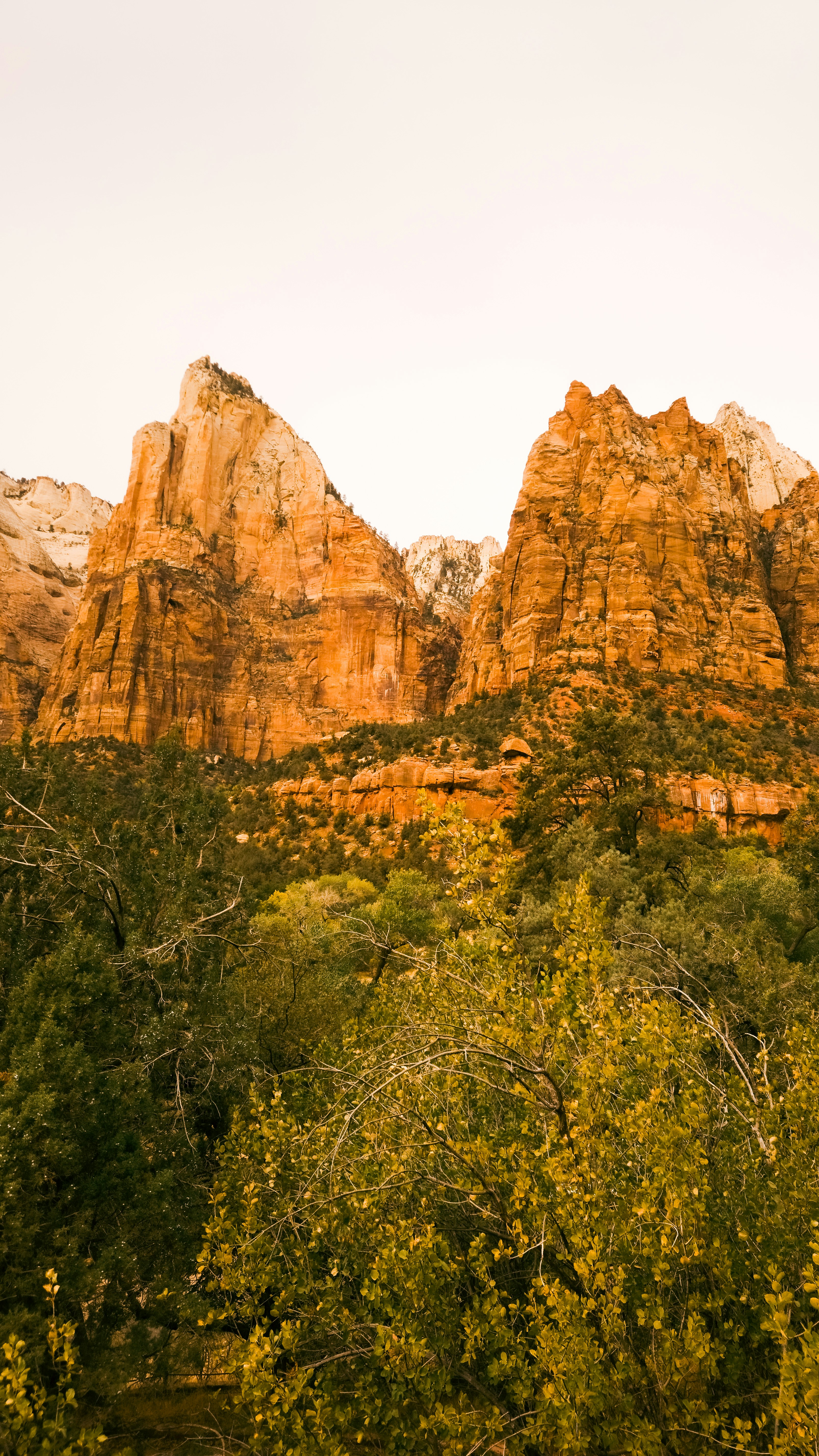 Photo by victordevos