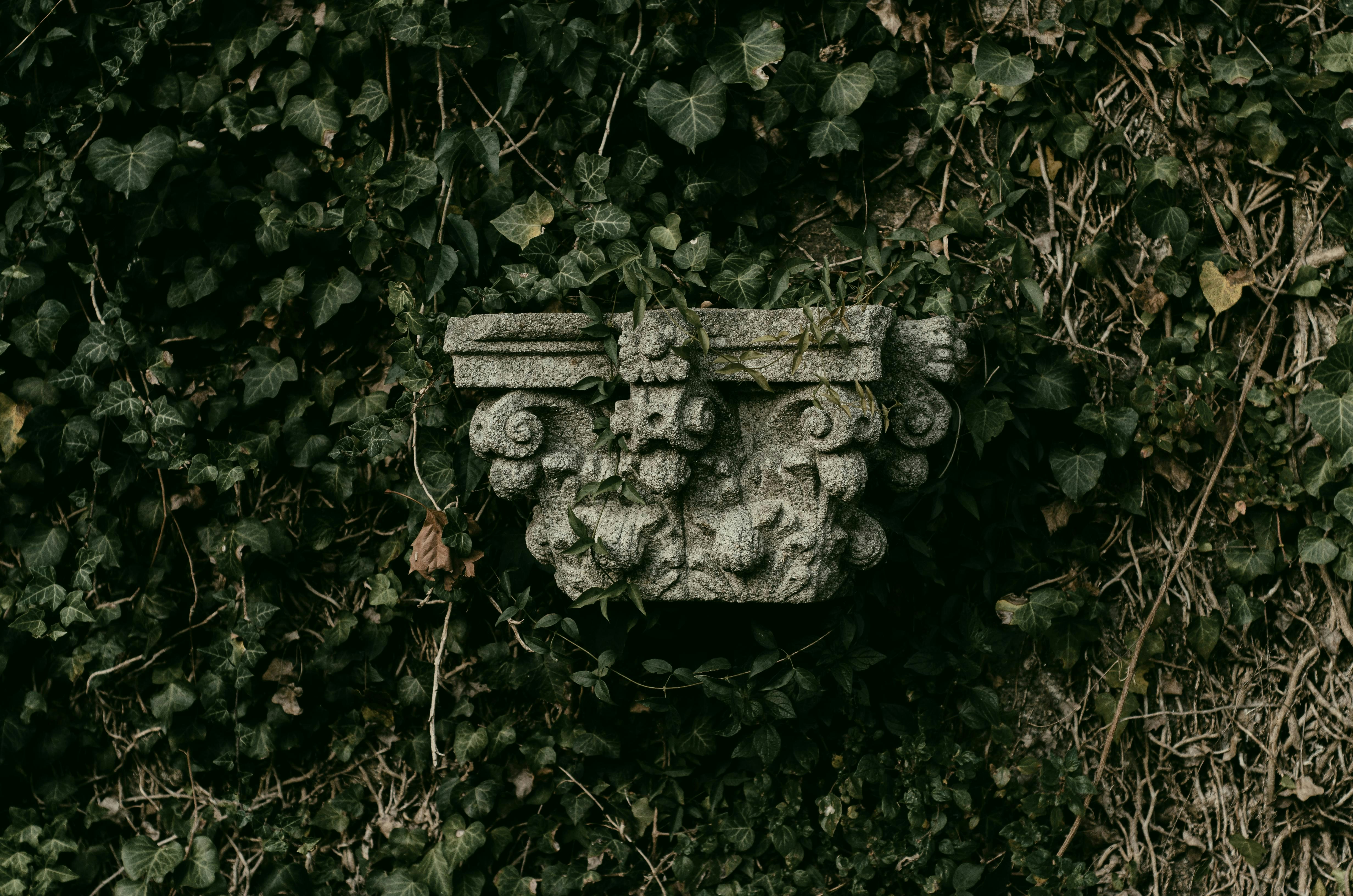 A close up of a planter in the middle of a field