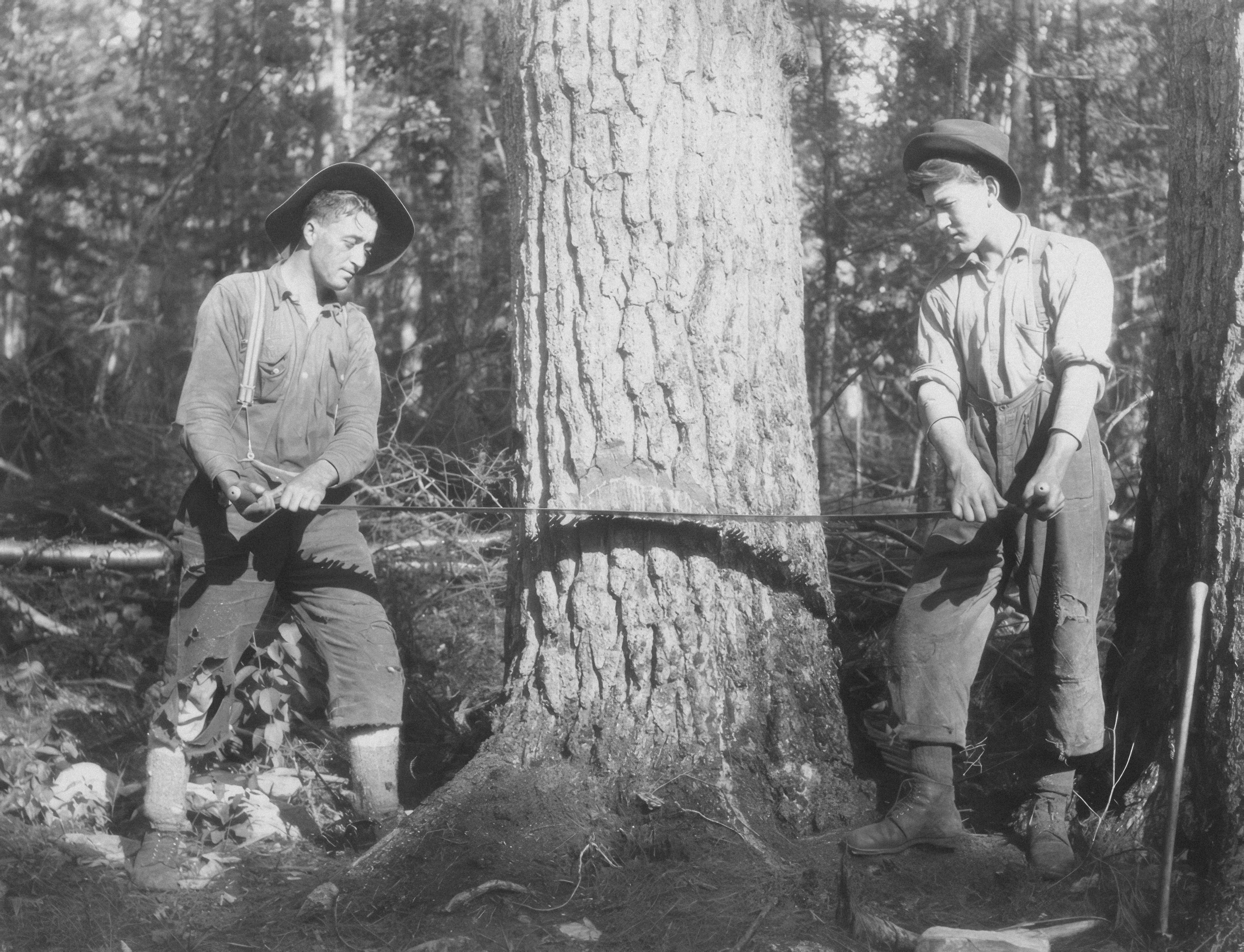 AUSTRALIAN OUTBACK DESIGNS's image