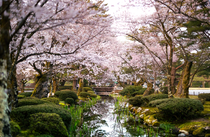 Best Pet-Friendly Hotels and Stays in Kanazawa for Travelers With Furry Companions