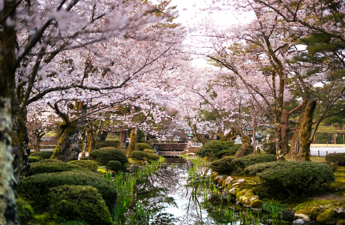 Best of Japan in 5 Days: Tokyo, Hakone, Kyoto & Nara