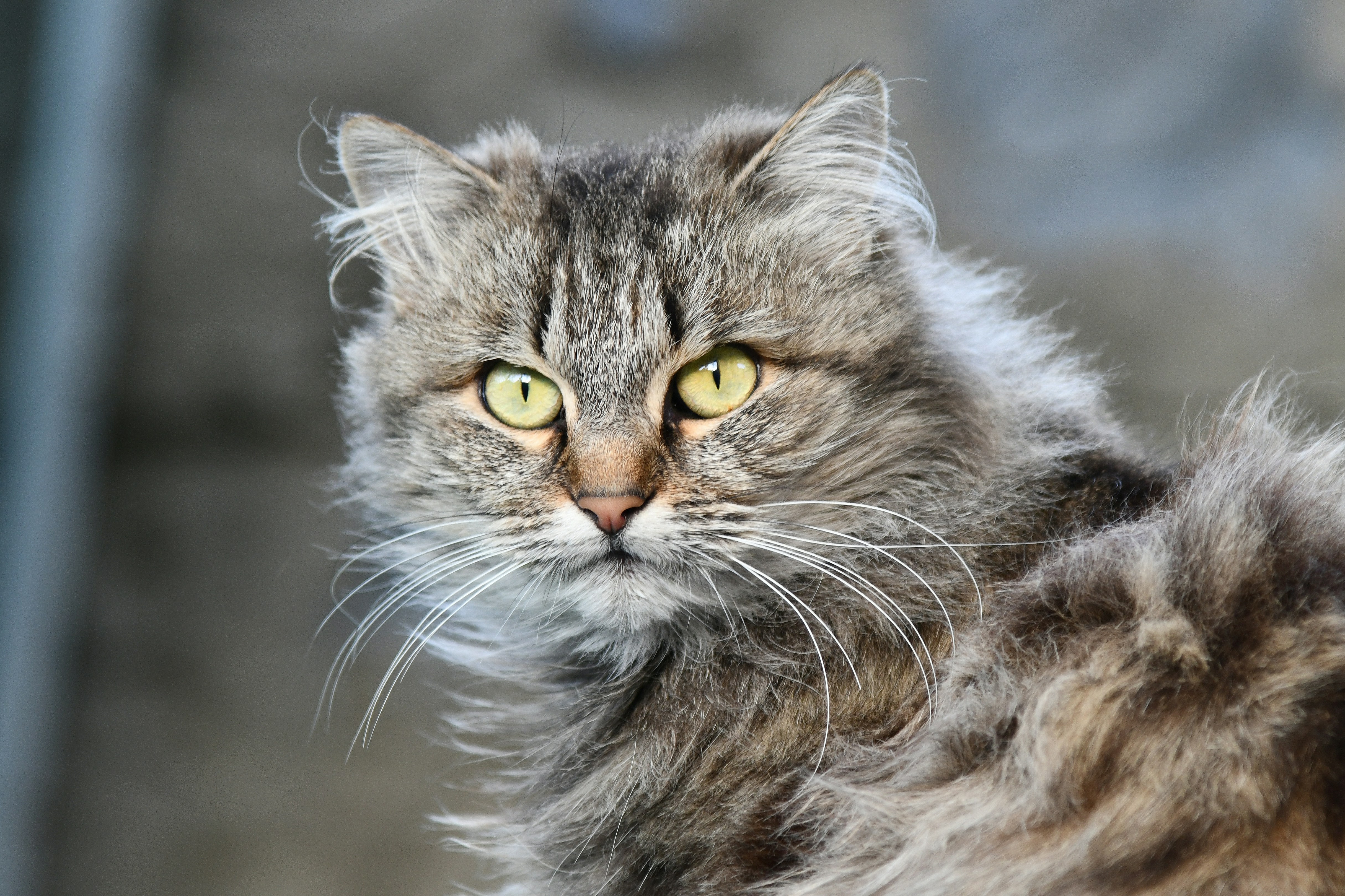 Photo by iaroslav_brylov