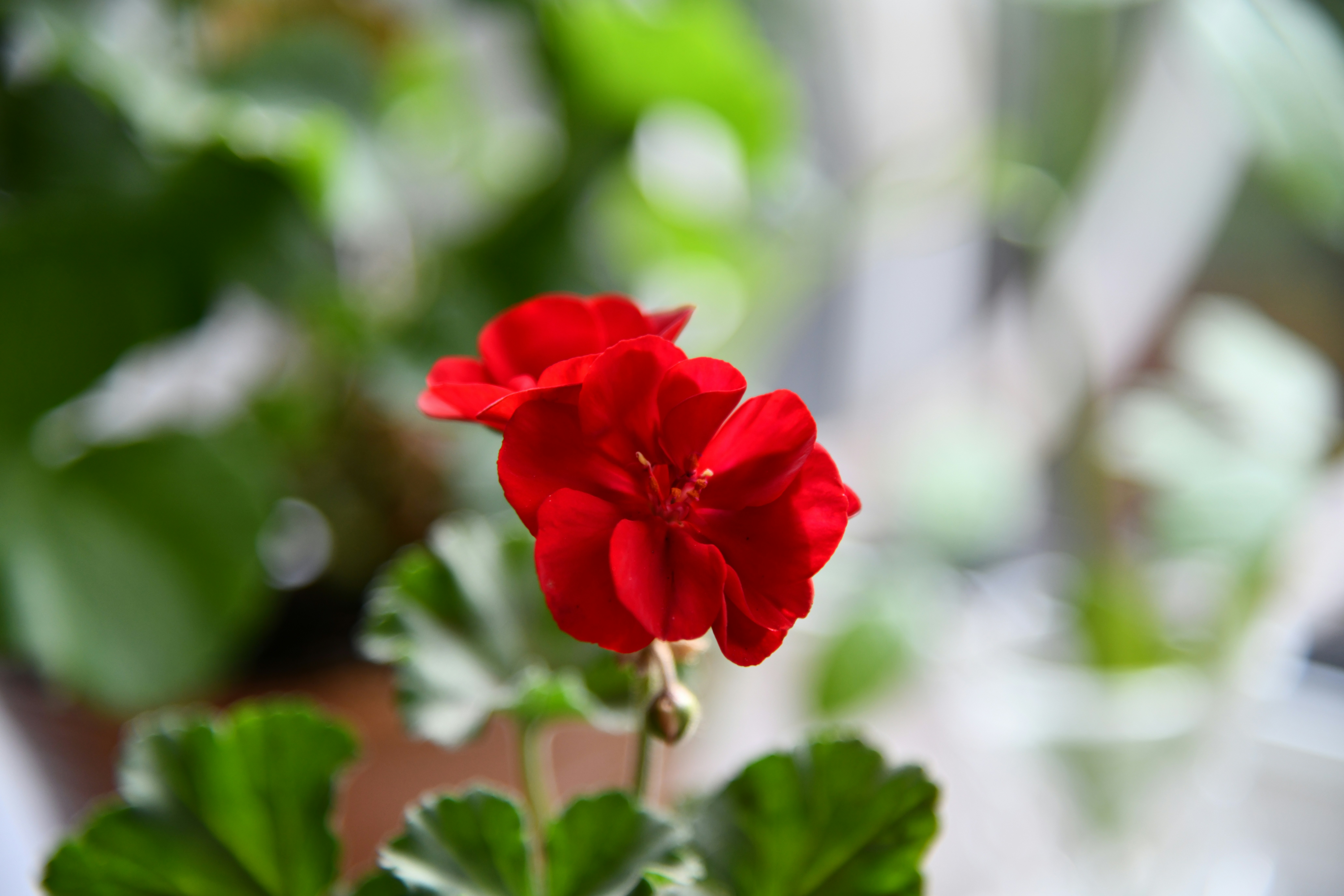 Photo by iaroslav_brylov